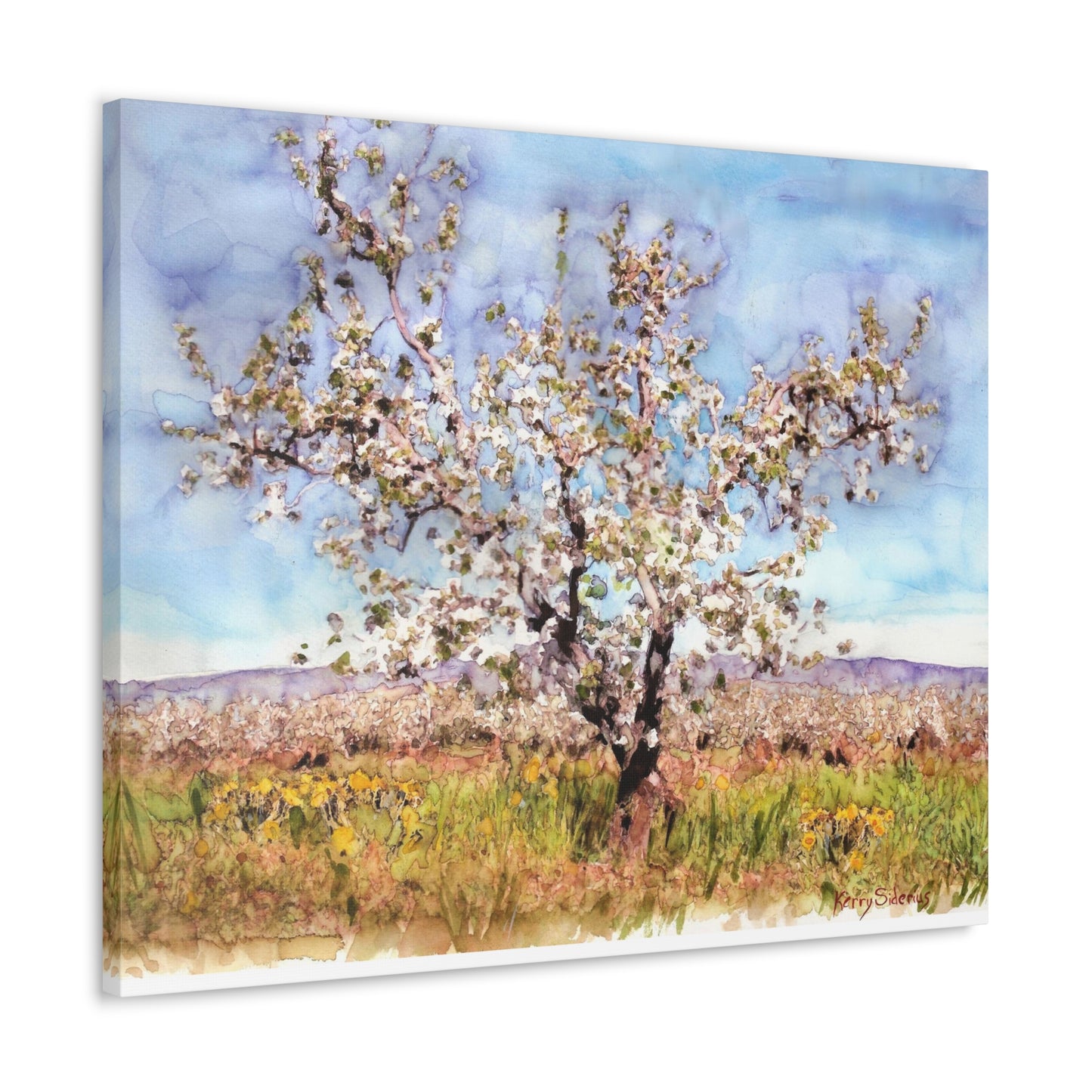 "Apple Blossom Tree" Canvas Gallery Wrap