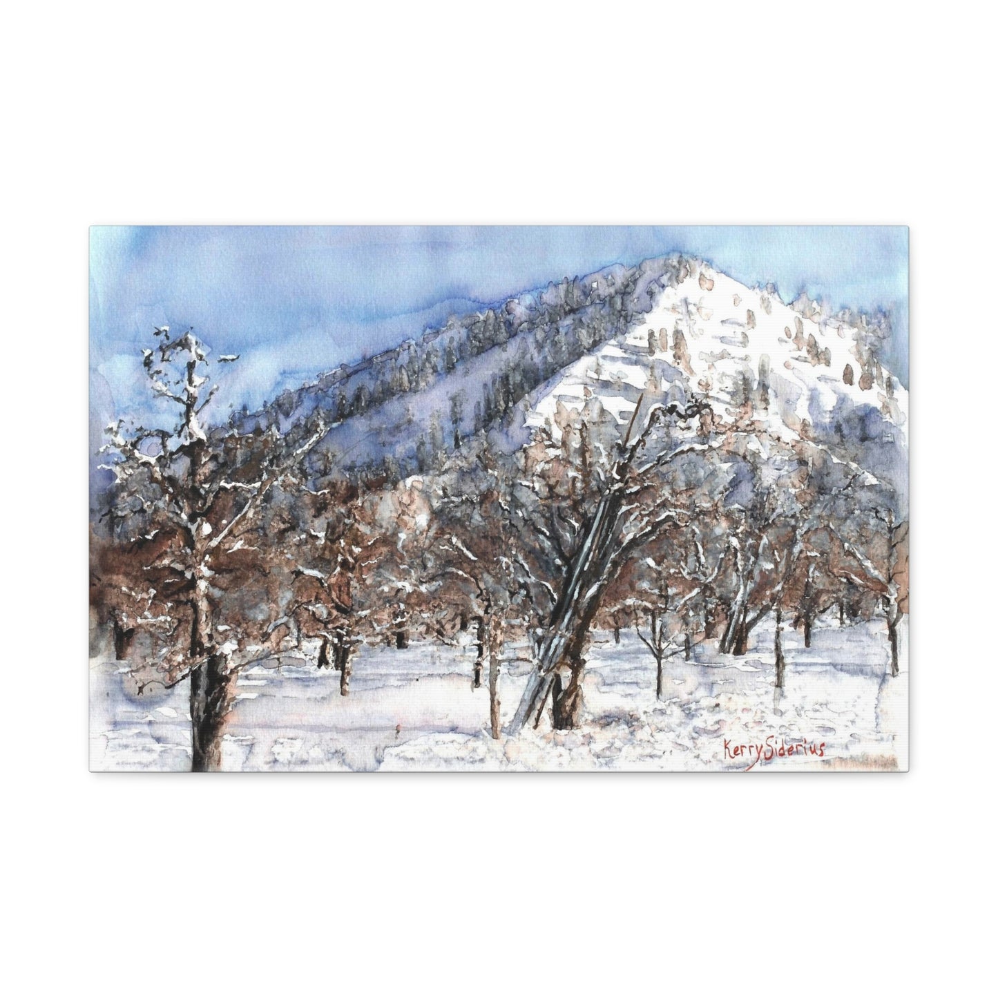 "Winter Orchard With Mountain, Cashmere" Canvas Gallery Wraps