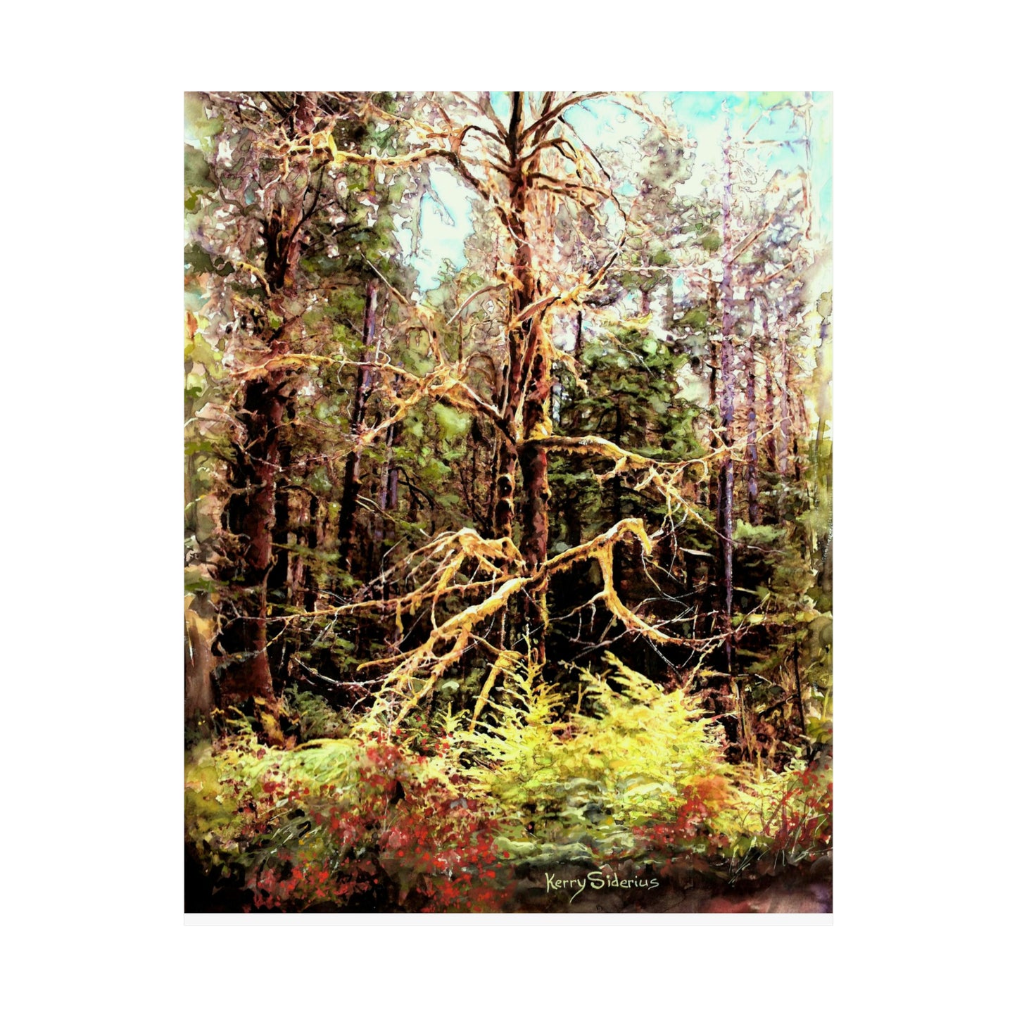 "Mossy Tree on Snoqualmie Pass" Archival Poster Print