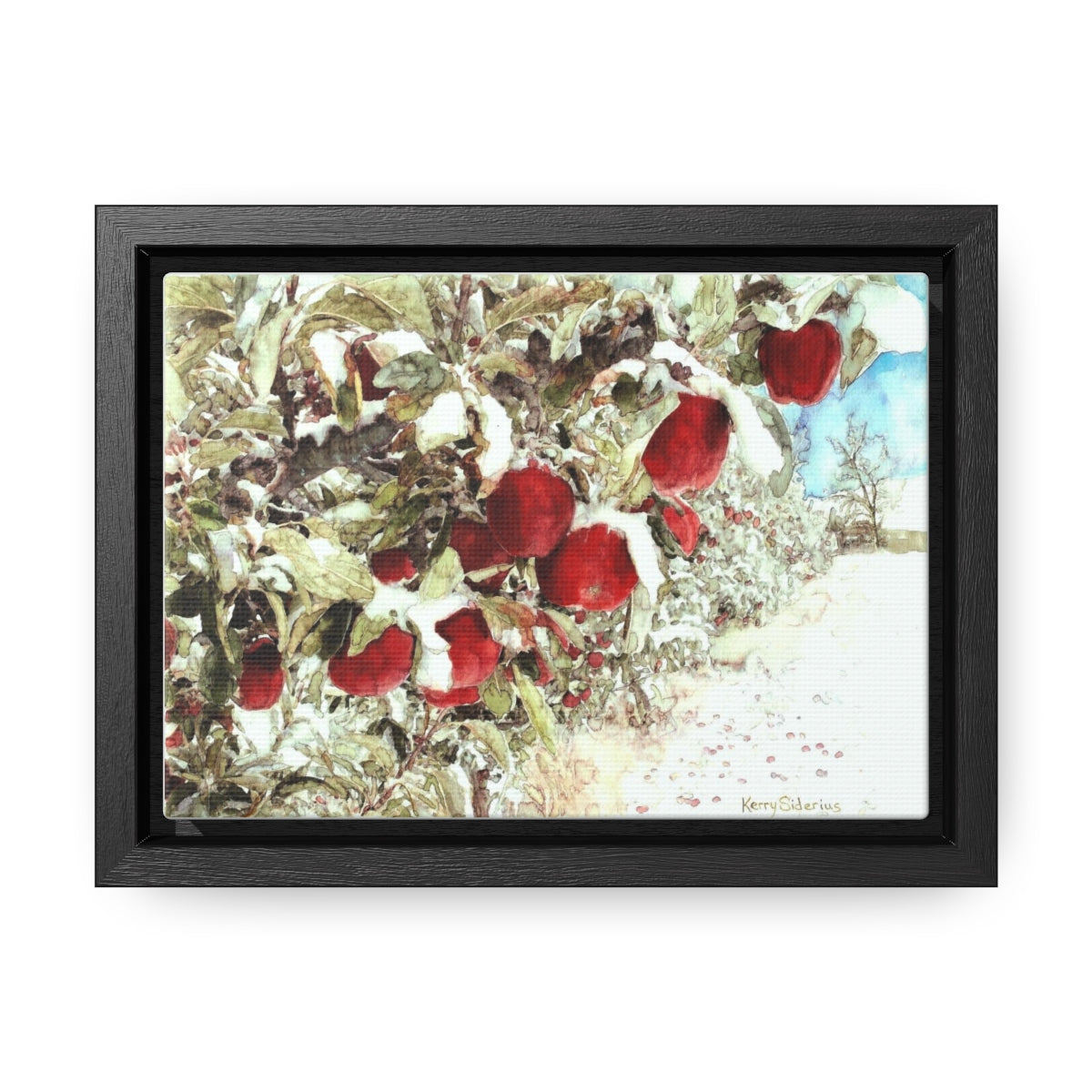 "Apples in the Snow" Poplar Wood-Framed Canvas - Kerry Siderius Art 