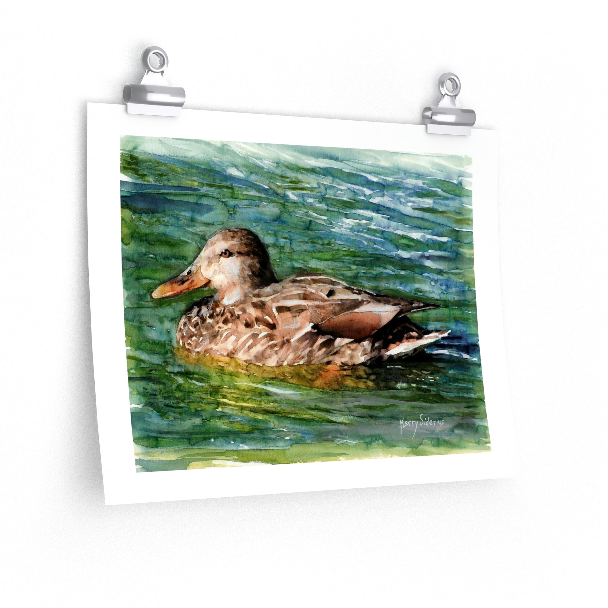"Mama Duck On Lake Chelan" Premium Poster Print (3 Sizes) - Kerry Siderius Art 