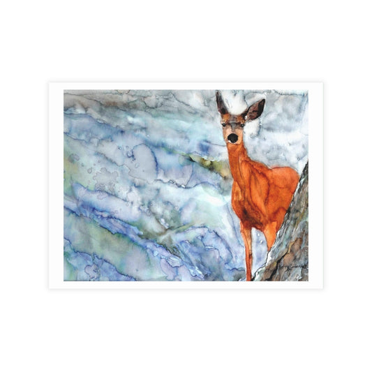 "Mule Deer Near Lake Wenatchee" Greeting Card Set - Kerry Siderius Art 
