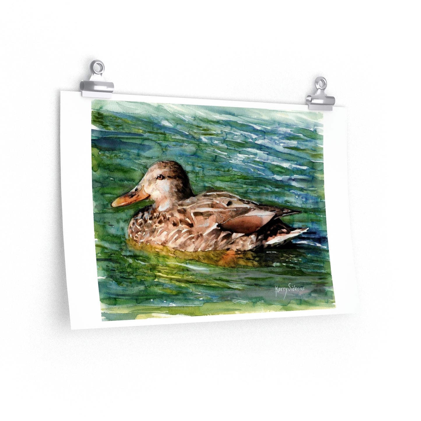 "Mama Duck on Lake Chelan" Premium Matte Print - Kerry Siderius Art 