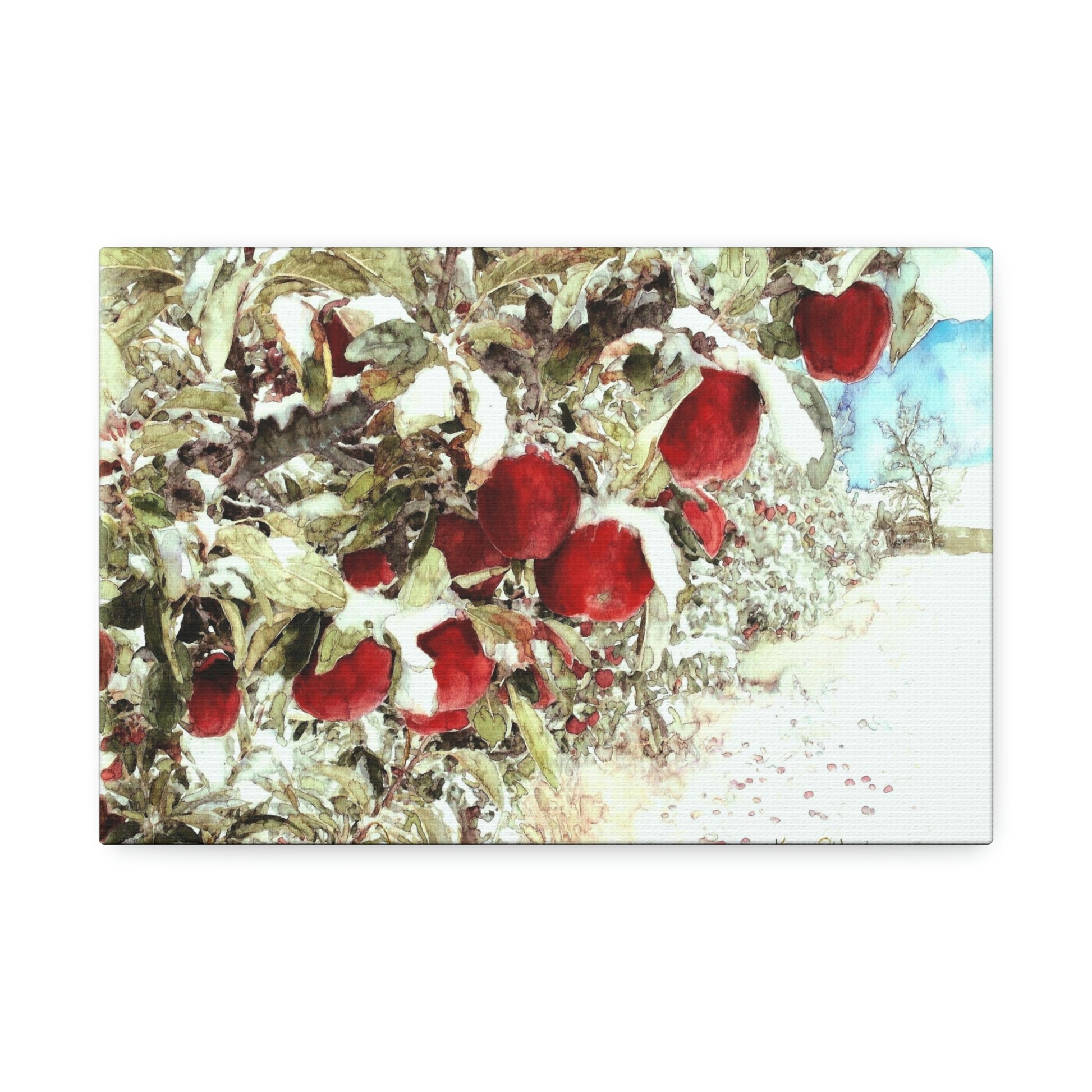 "Apples in the Snow" Wrapped  Canvas - Kerry Siderius Art 