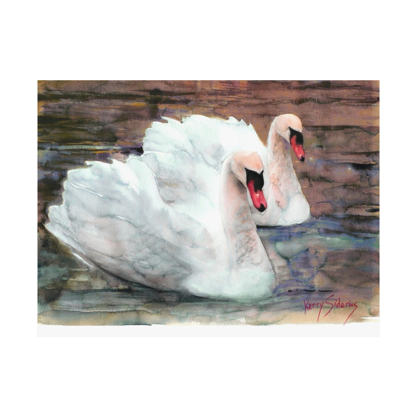 "Swans Out For A Swim" Matte Archival Poster