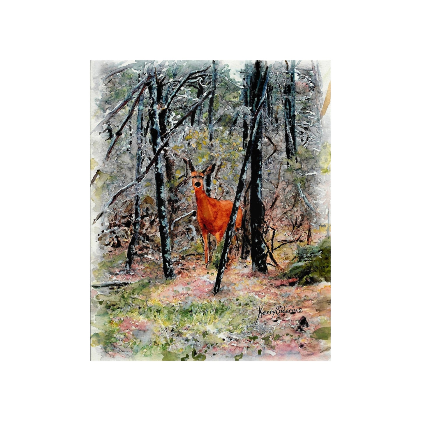 "New Growth in Last Summer's Burn" Archival Poster Print (2 Sizes) - Kerry Siderius Art 