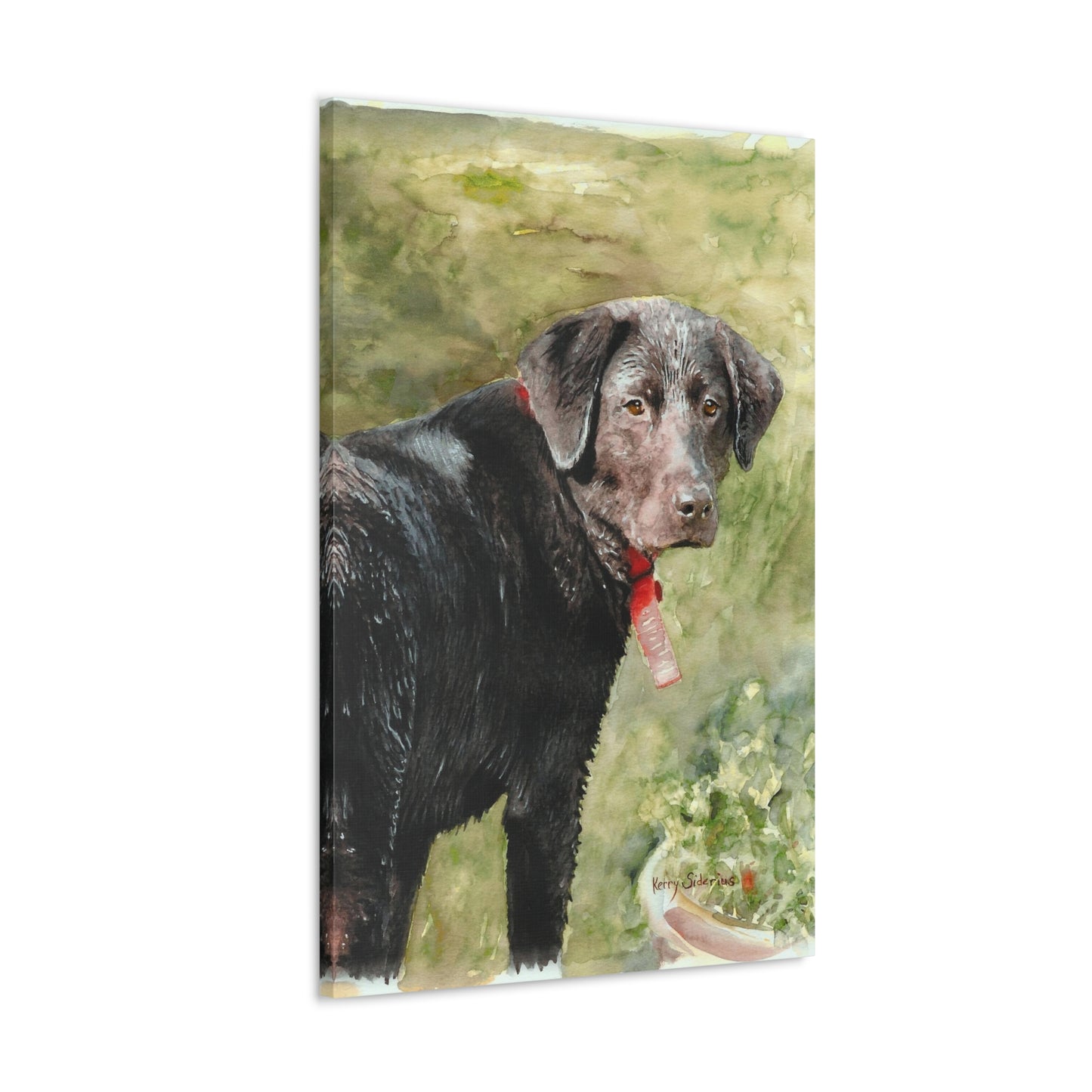 "Look Back Jack" Gallery Wrapped Canvas - Kerry Siderius Art 