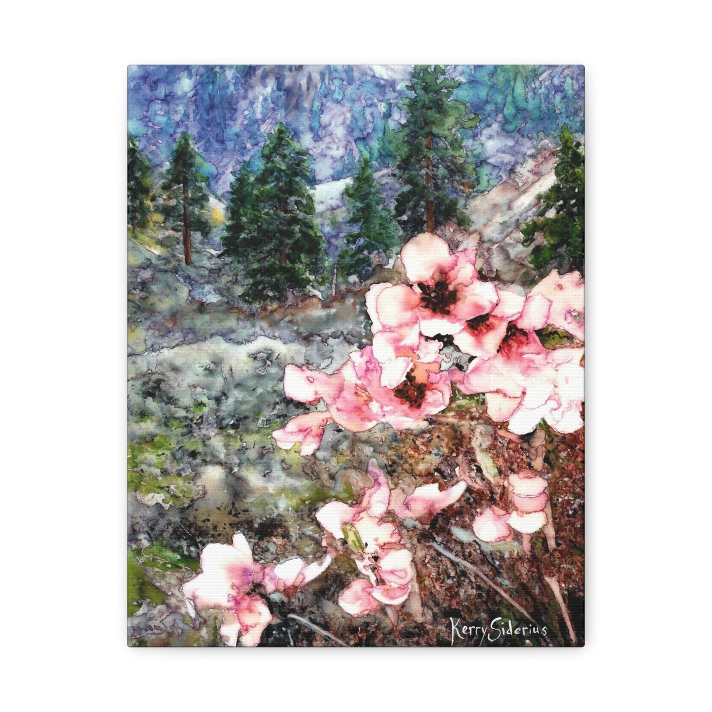 "Wild Apricot Blossoms Up Canyon" Gallery Wrapped Canvas - Kerry Siderius Art 
