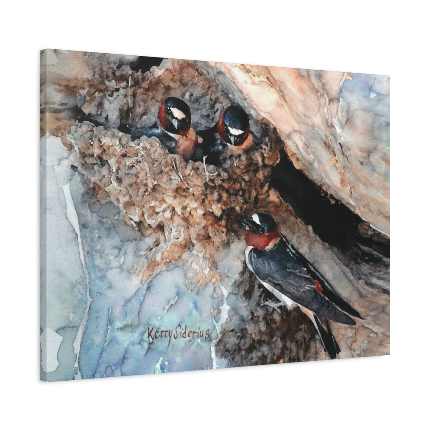 "Swallows in the Cliff, Rufus Woods Lake" Canvas, Stretched, 1.25"