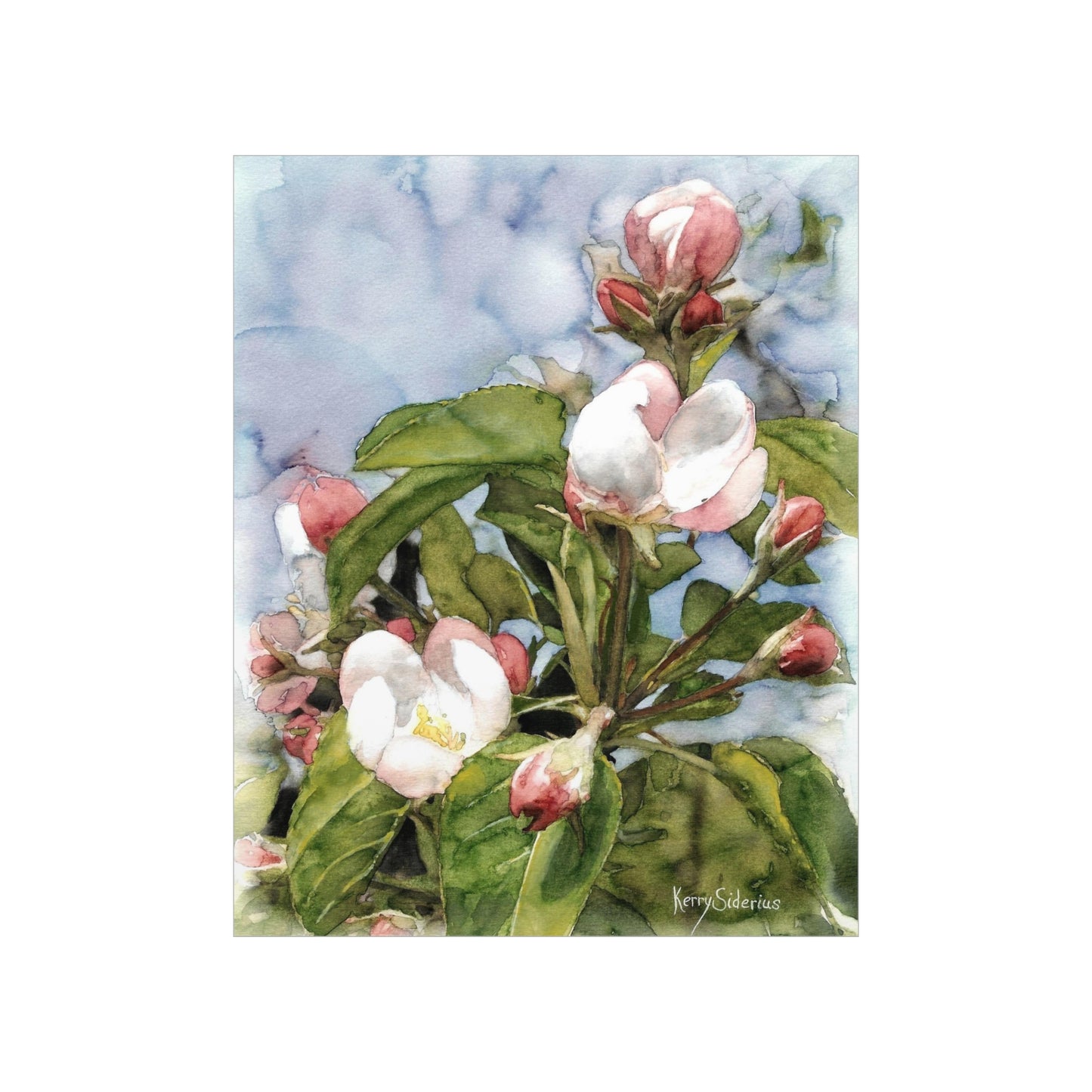 "Chelan Apple Blossoms" Matte Archival Poster Print - Kerry Siderius Art 