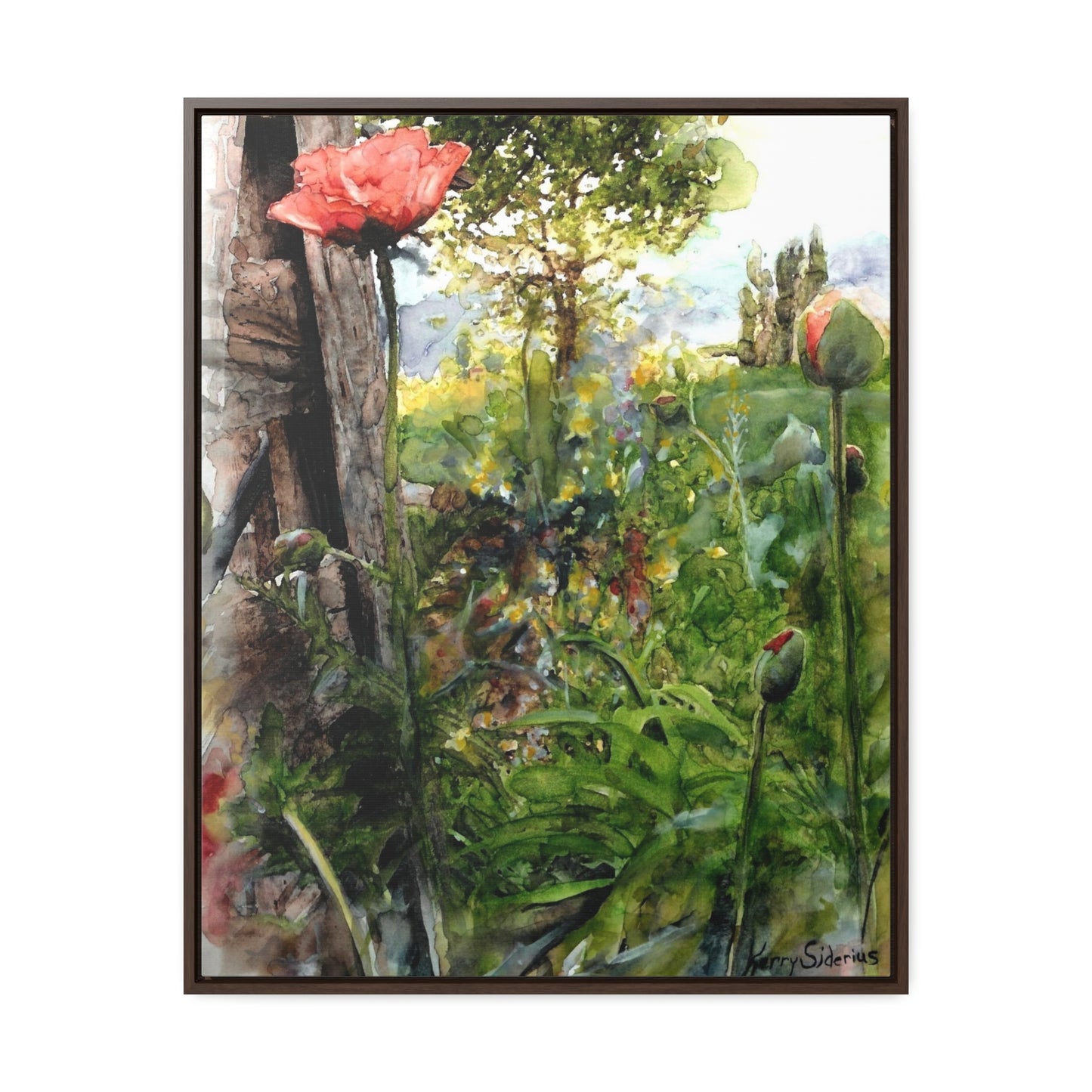 "Poppy Near the Fencepost" Gallery Wrapped Wood Framed Canvas - Kerry Siderius Art 