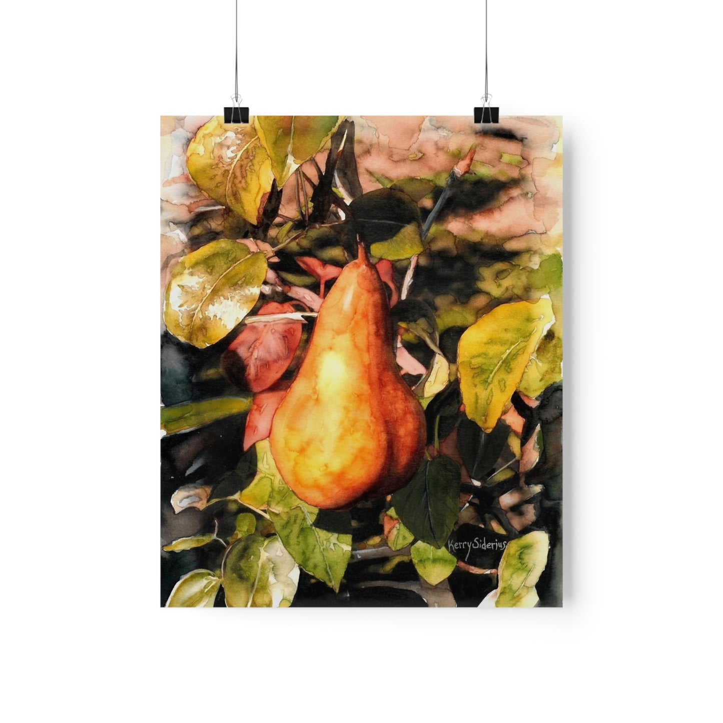 "Pear In Cashmere Sunlight" Archival Ink Poster Print - Kerry Siderius Art 