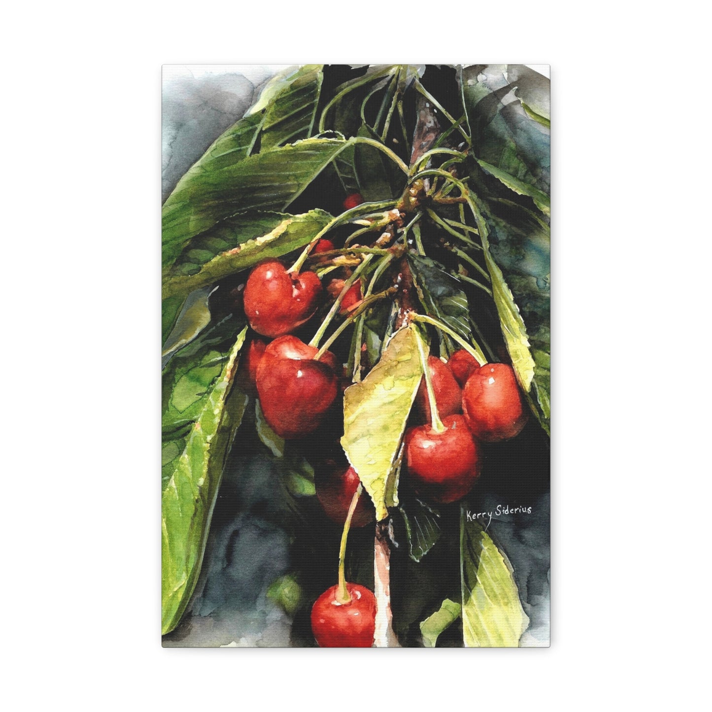 "Cherries With Yellow Leaf" Gallery Wrapped Canvas