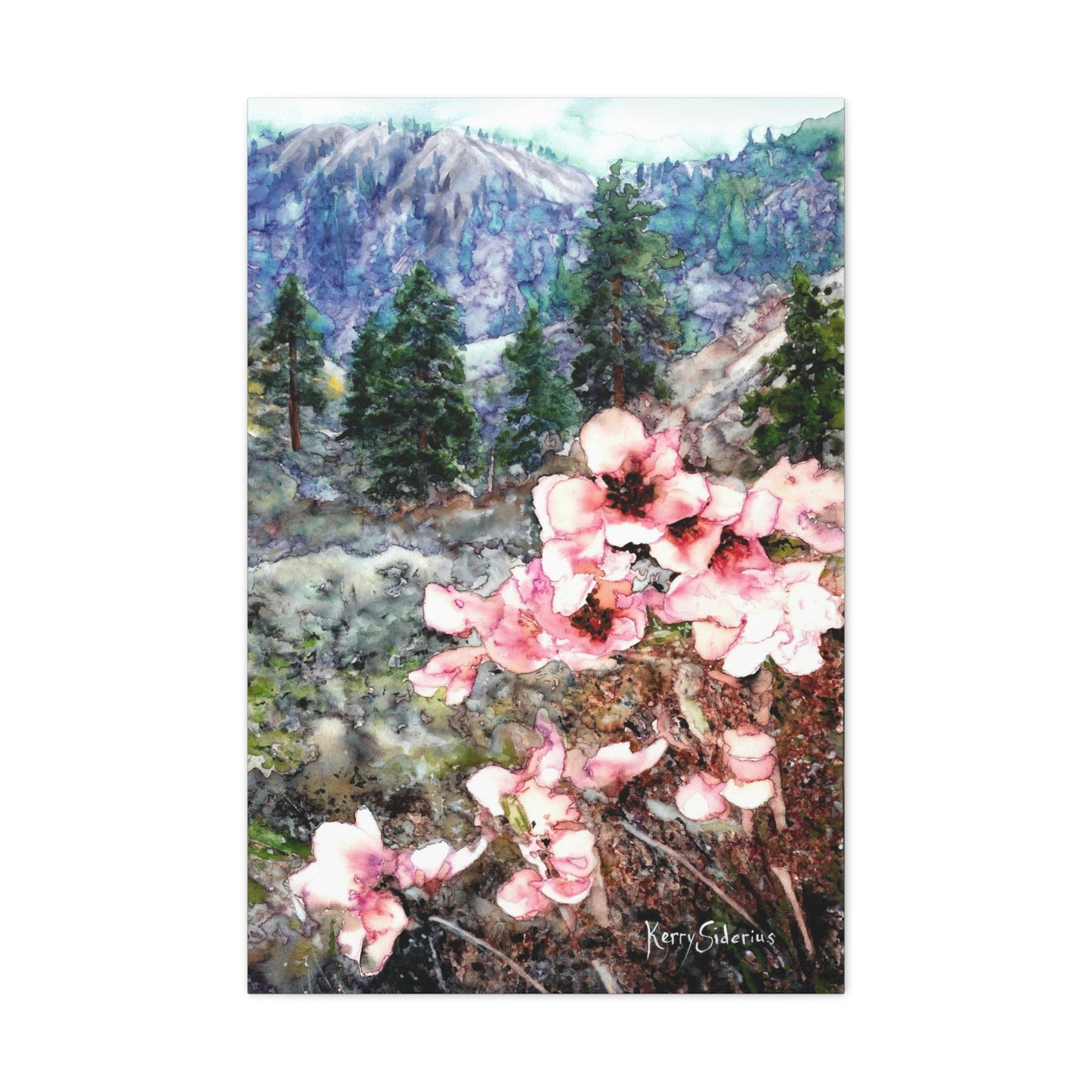 "Wild Apricot Blossoms Up Canyon" Gallery Wrapped Canvas - Kerry Siderius Art 