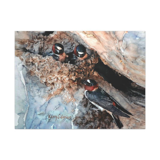 "Swallows in the Cliff, Rufus Woods Lake" Canvas, Stretched, 1.25"