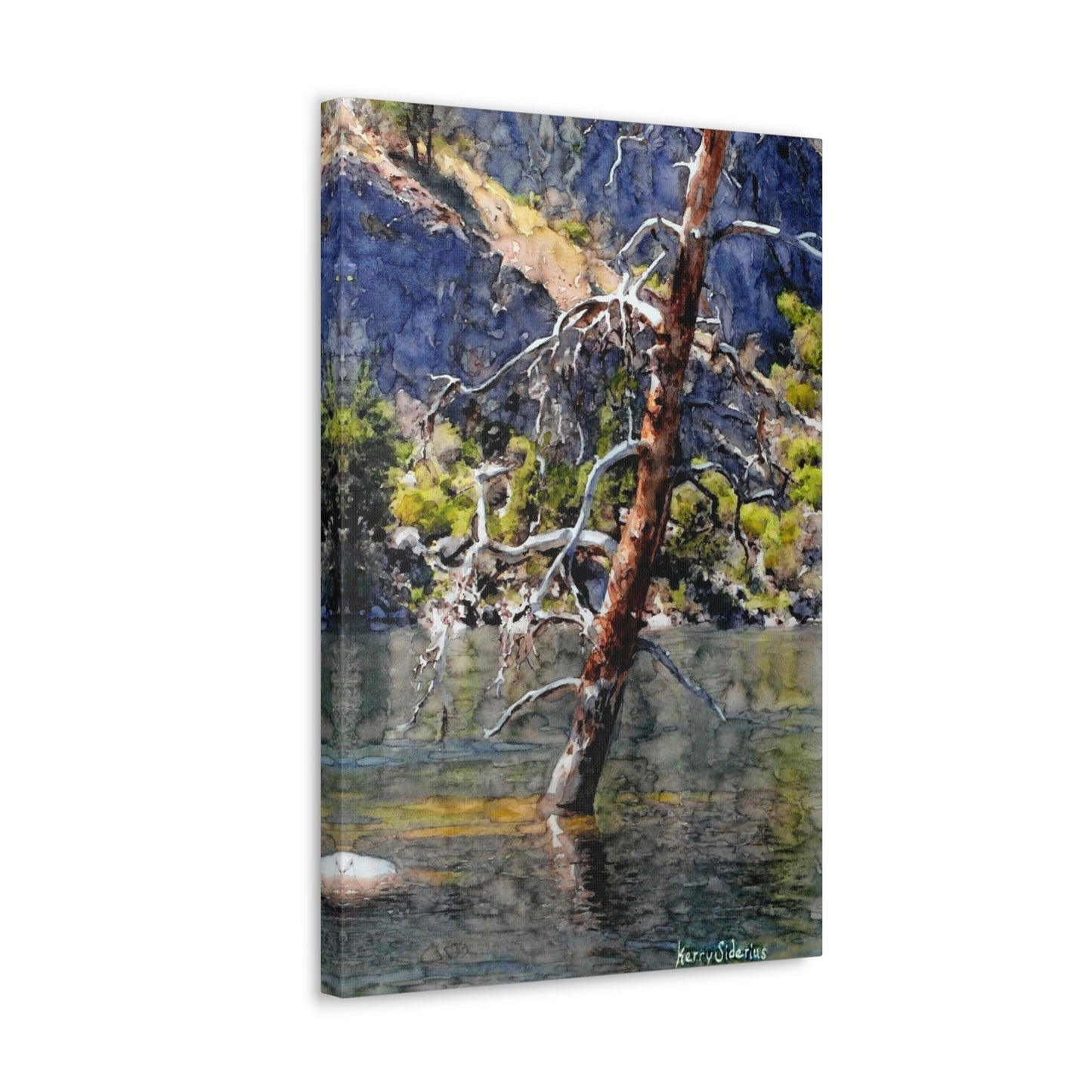 "Snag Behind Chief Joseph Dam" Gallery Wrapped Canvas