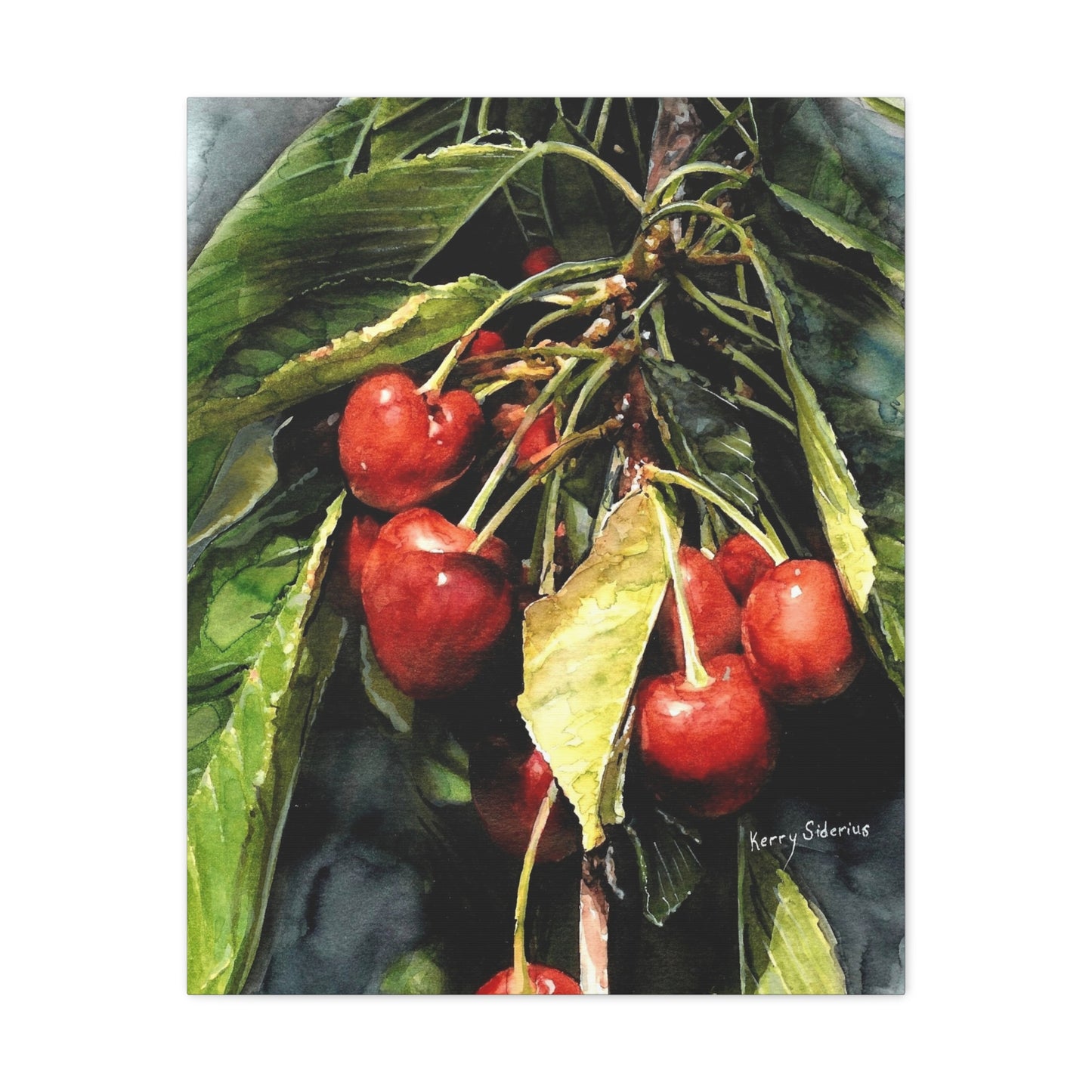 "Cherries With Yellow Leaf" Gallery Wrapped Canvas