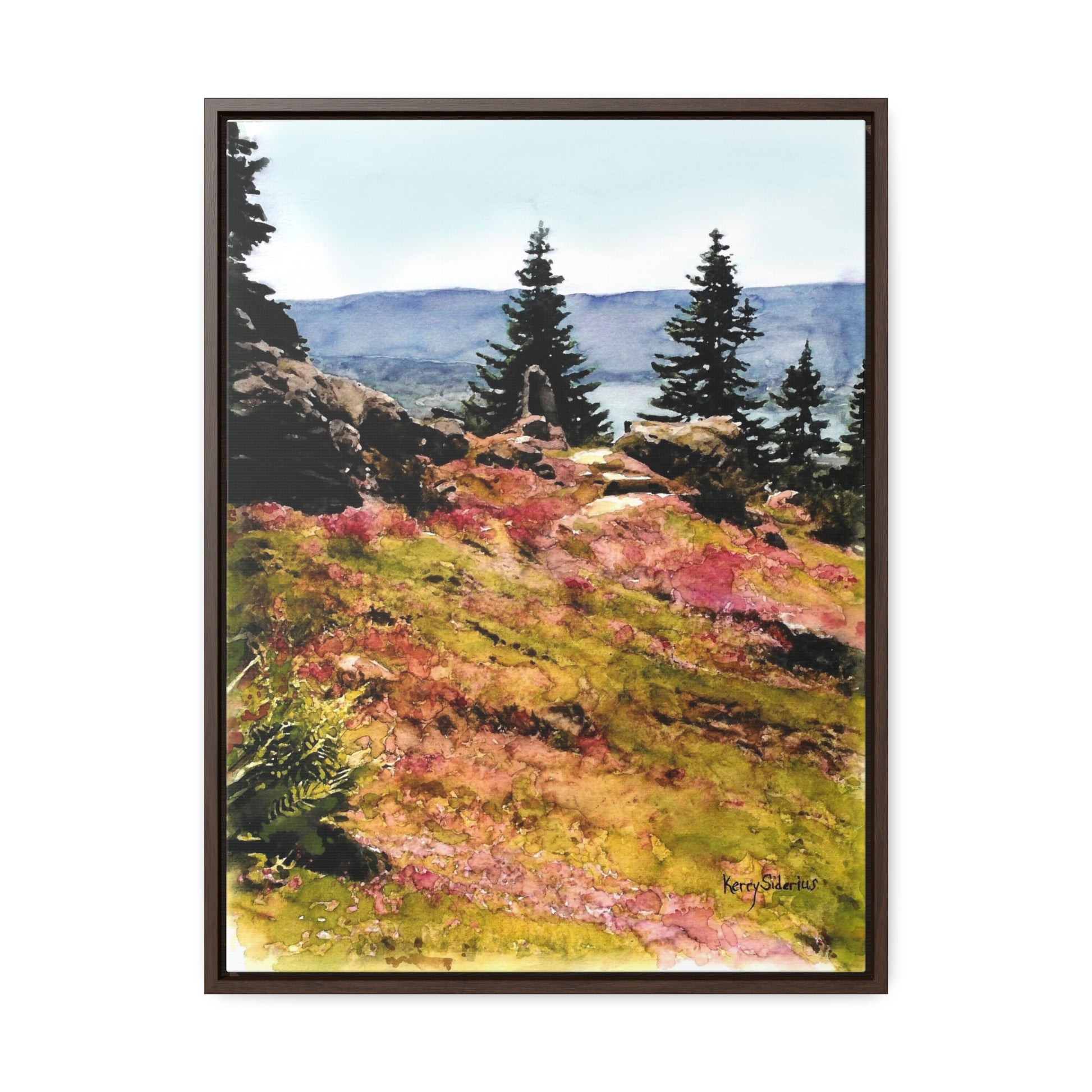 "Ohme Garden Pink Bloom" Gallery Wrapped Wood-Framed Canvas - Kerry Siderius Art 