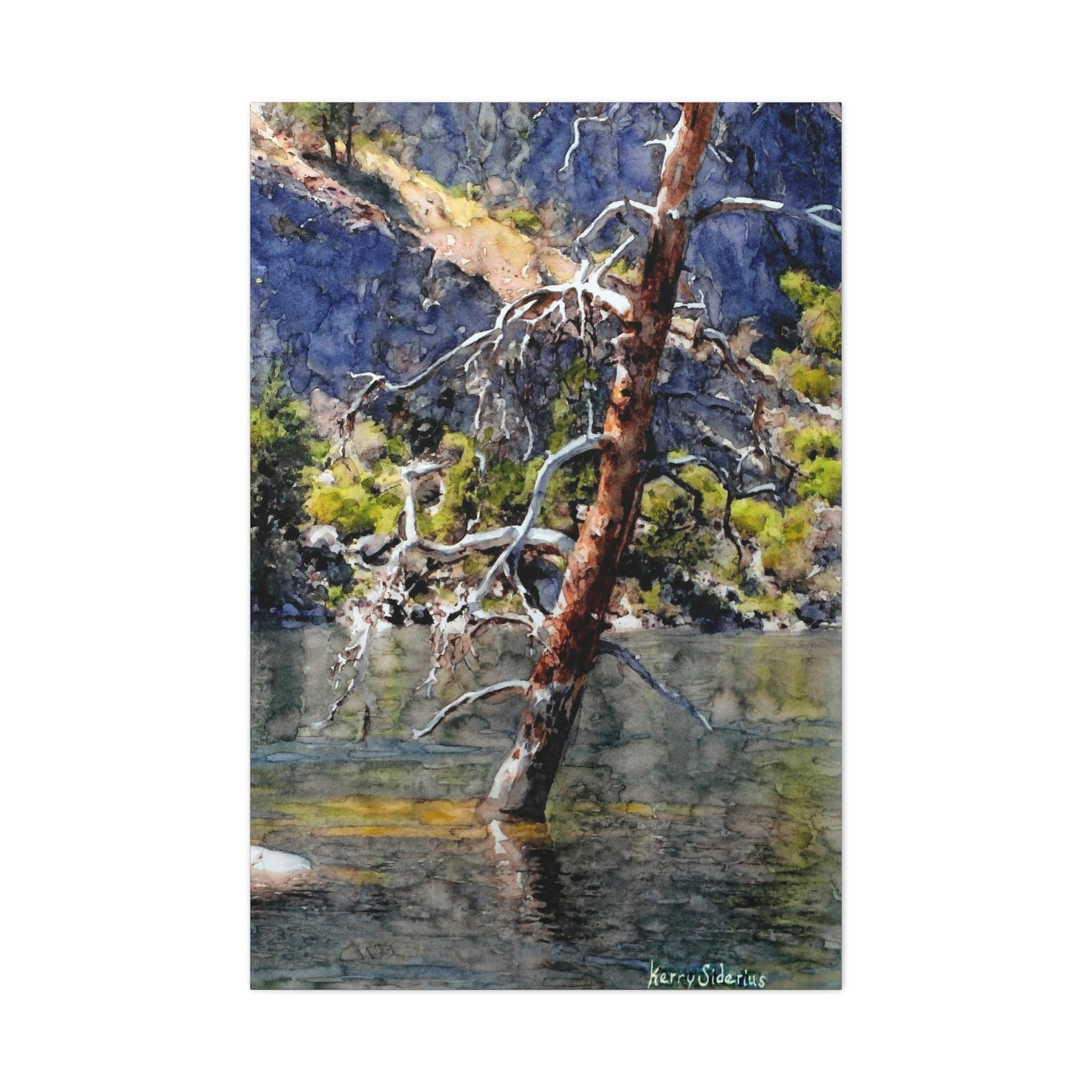 "Snag Behind Chief Joseph Dam" Gallery Wrapped Canvas