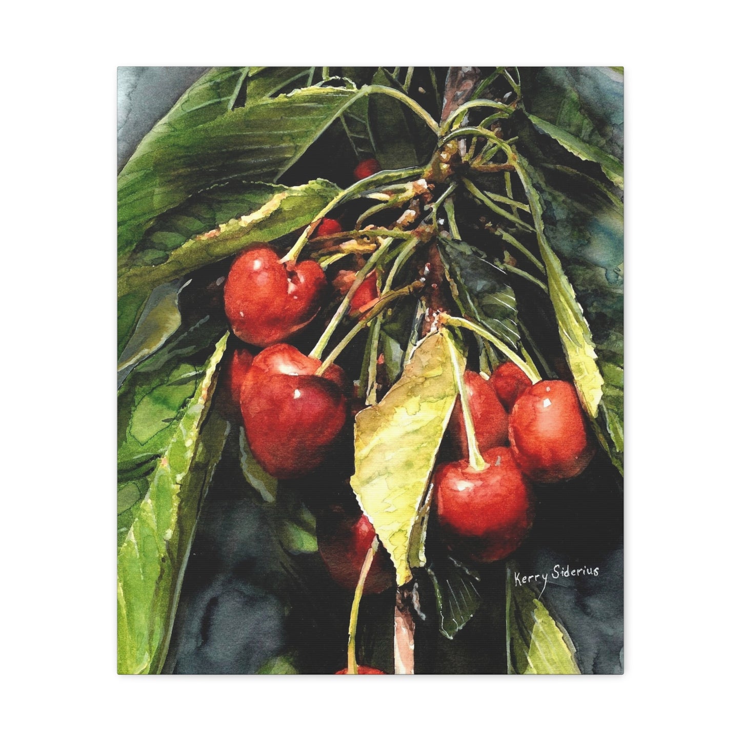 "Cherries With Yellow Leaf" Gallery Wrapped Canvas