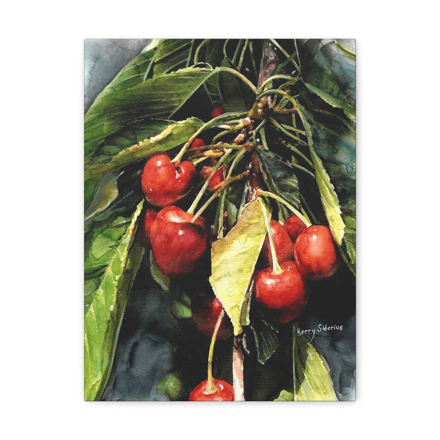 "Cherries With Yellow Leaf" Gallery Wrapped Canvas