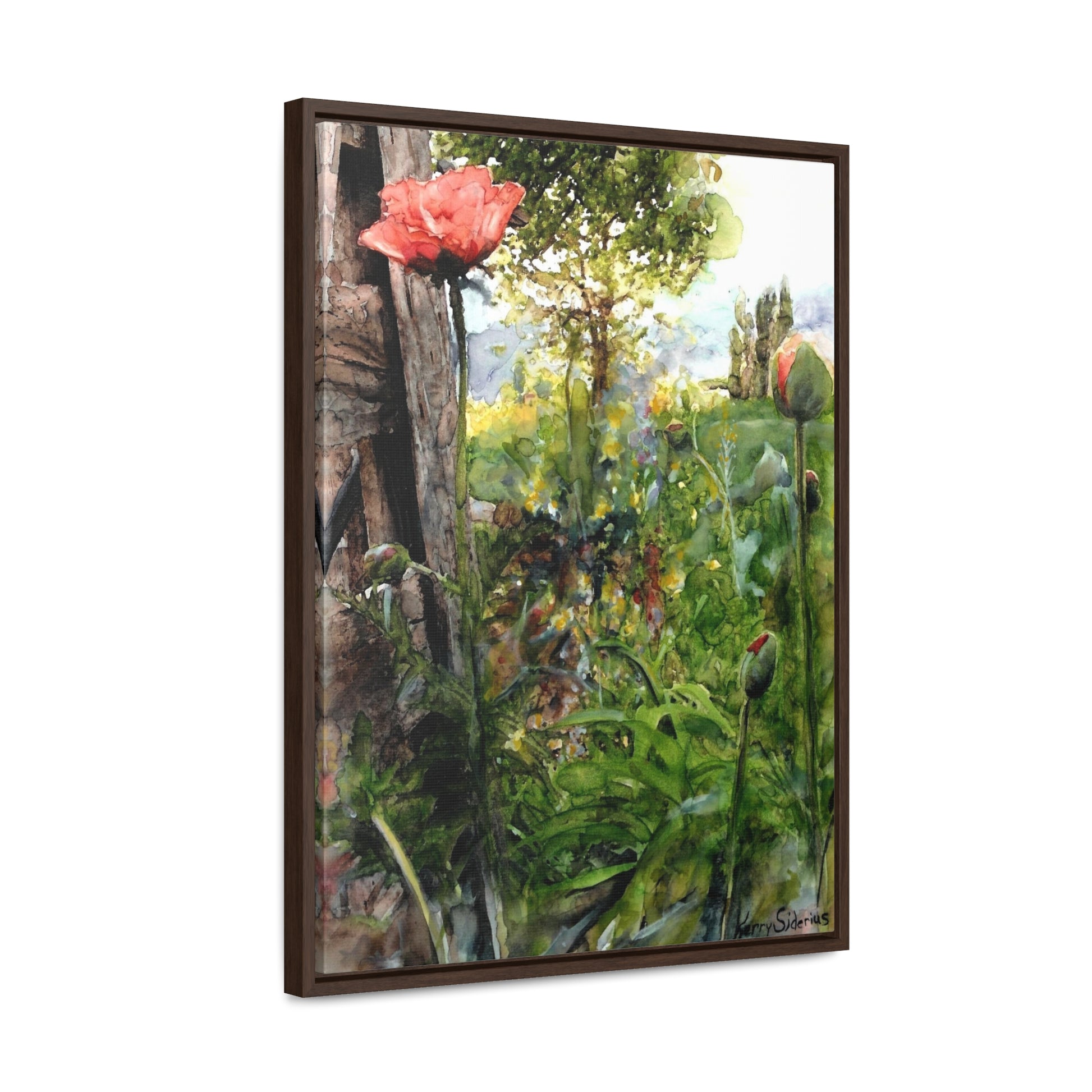 "Poppy Near the Fencepost" Gallery Wrapped Wood Framed Canvas - Kerry Siderius Art 