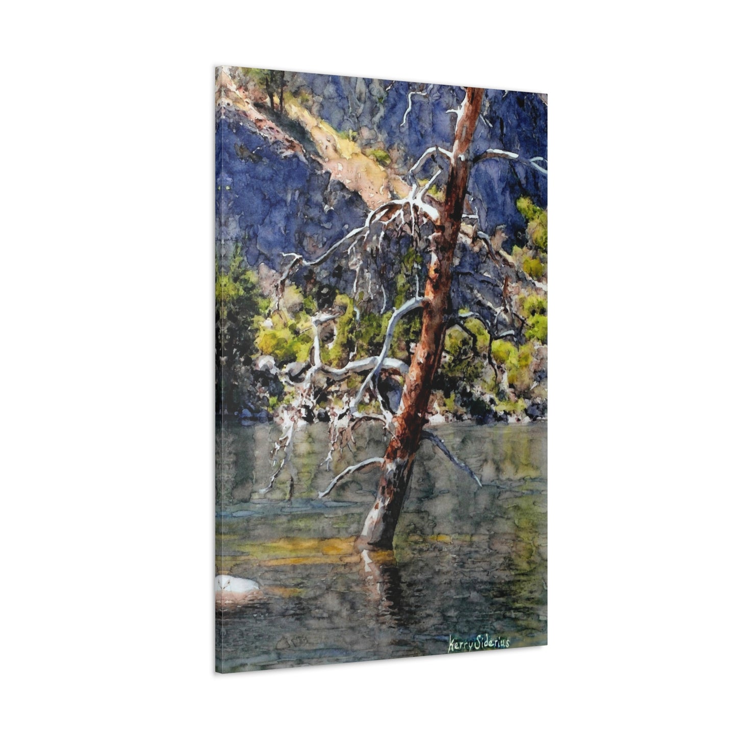 "Snag Behind Chief Joseph Dam" Gallery Wrapped Canvas