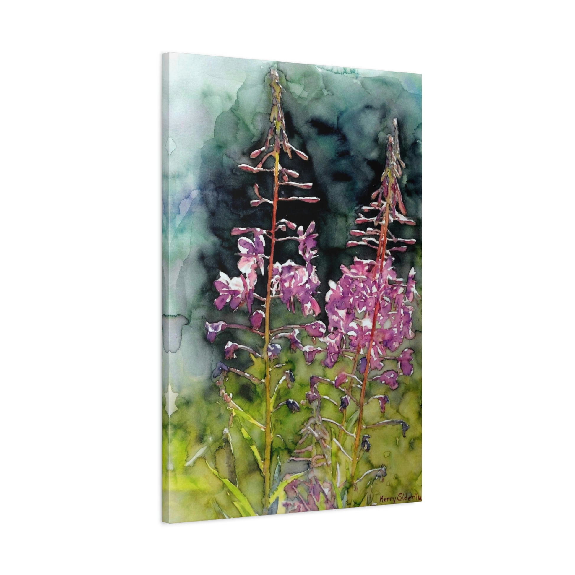 "Fireweed, Mission Ridge" Stretched Matte Canvas - Kerry Siderius Art 