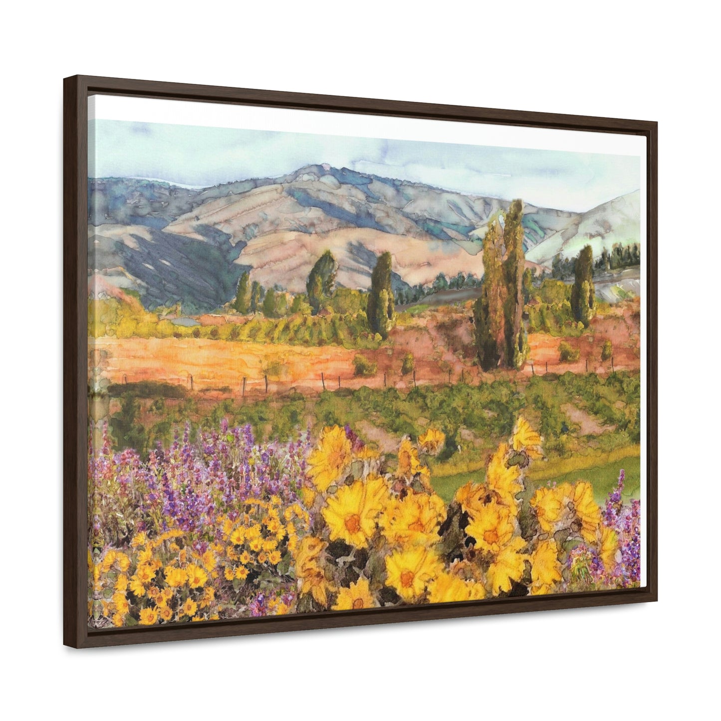 "Chelan Vineyard with Balsom" Wood-Framed Gallery Canvas Wrap - Kerry Siderius Art 