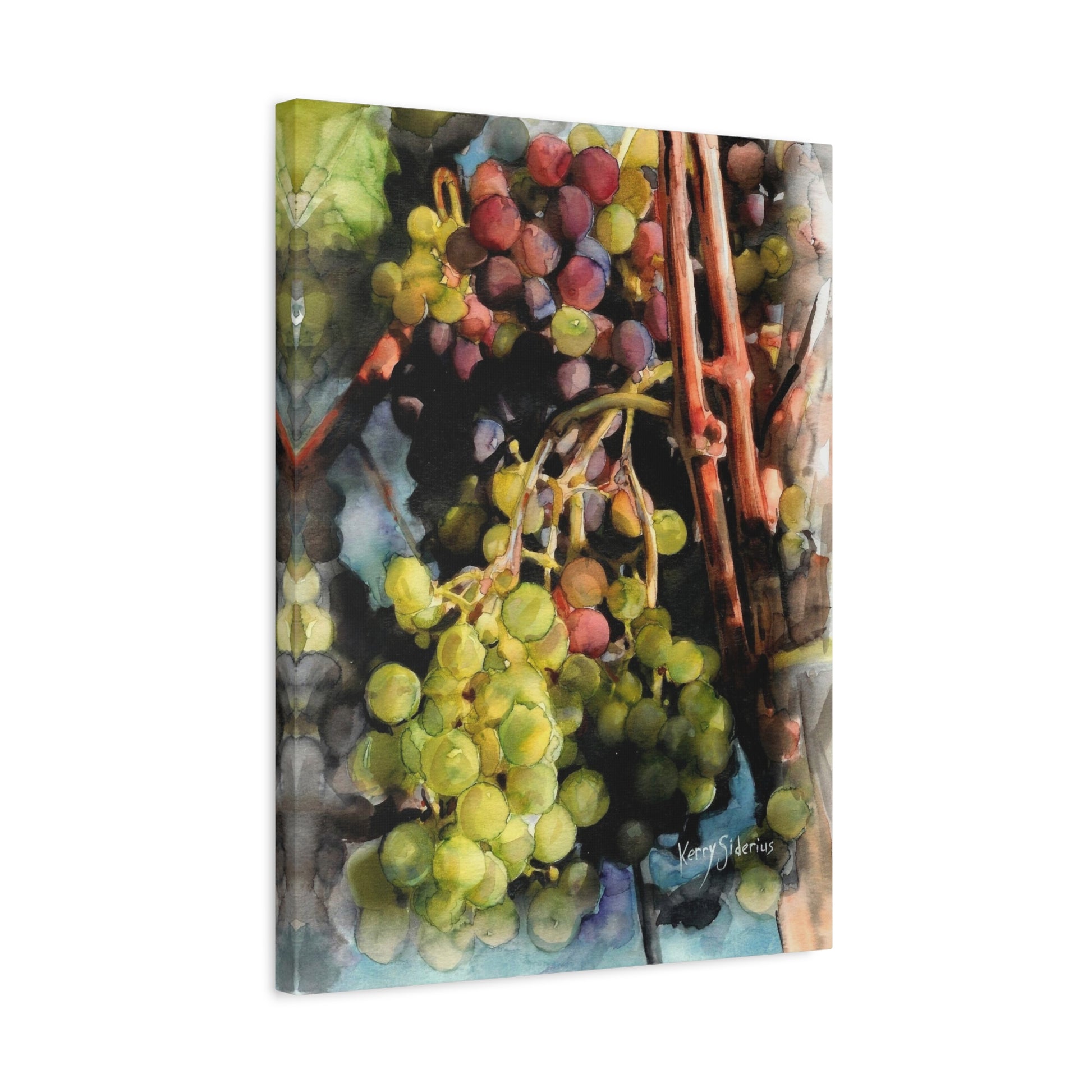 "Wine Grapes Getting Some Color" Matte Canvas, Stretched, 1.25" - Kerry Siderius Art 