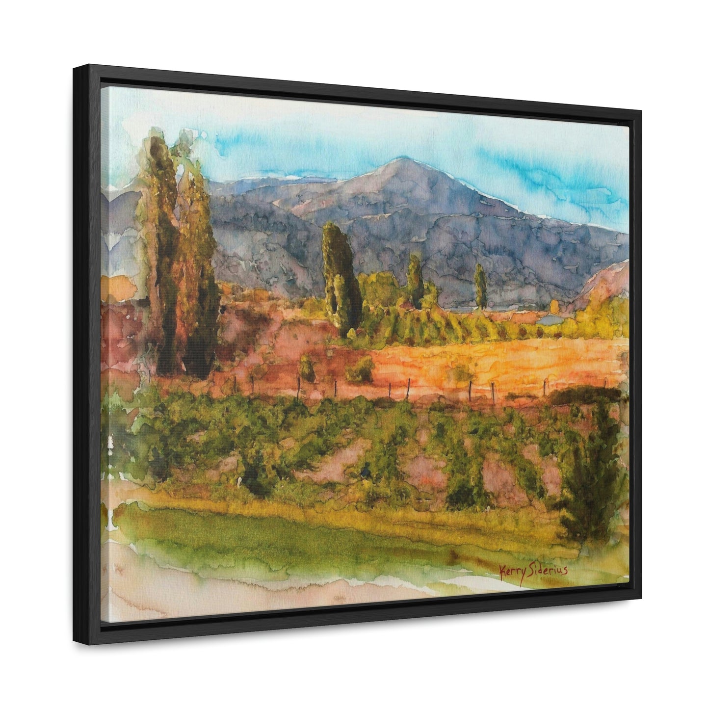 "Vineyard Near Chelan Falls" Gallery Wrapped Wood Framed Canvas - Kerry Siderius Art 
