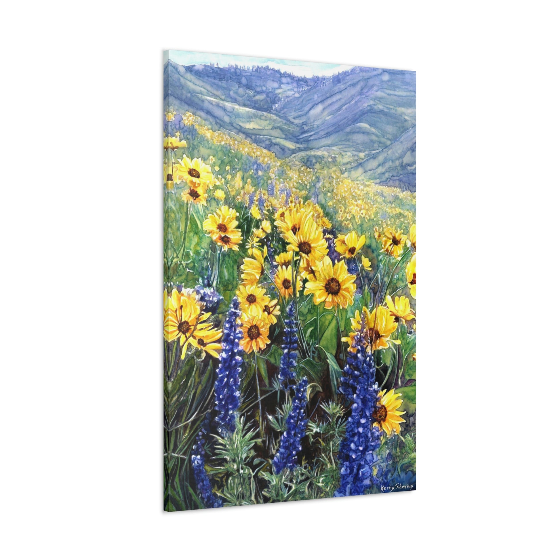 "Balsom and Lupine Up Horse Lake Road" Gallery Wrapped Canvas - Kerry Siderius Art 