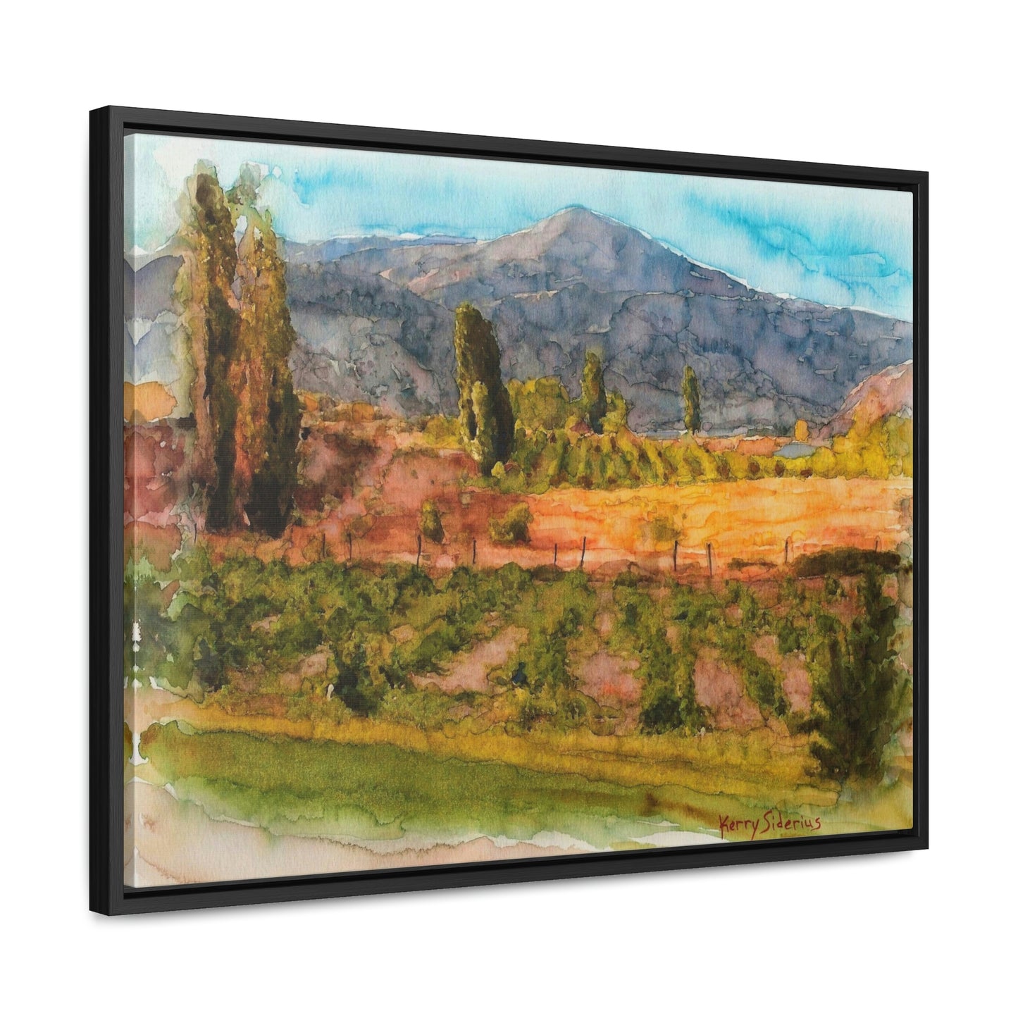 "Vineyard Near Chelan Falls" Gallery Wrapped Wood Framed Canvas - Kerry Siderius Art 