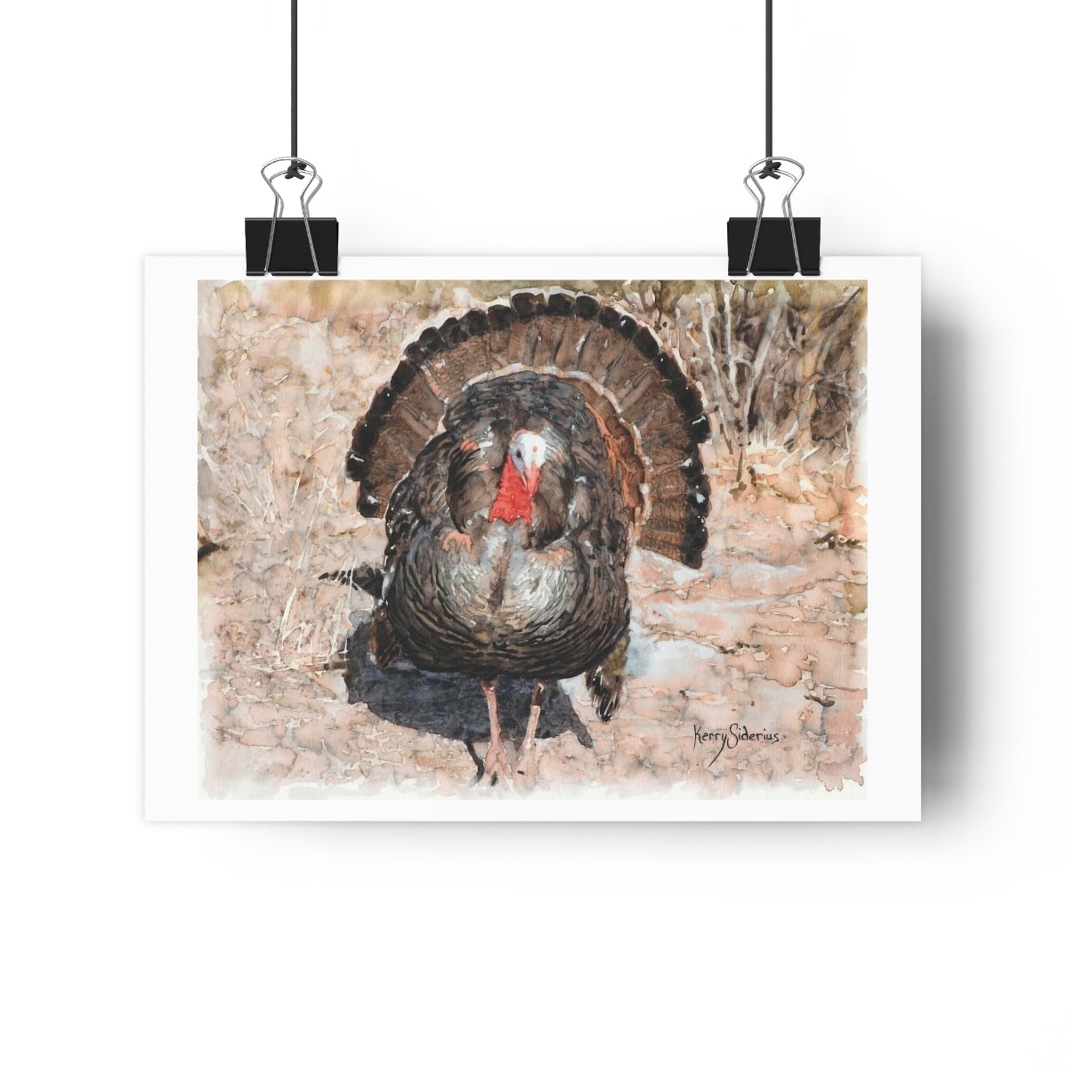 "Wild Turkey Up By Lake Wenatchee" on Archival Poster Print - Kerry Siderius Art 