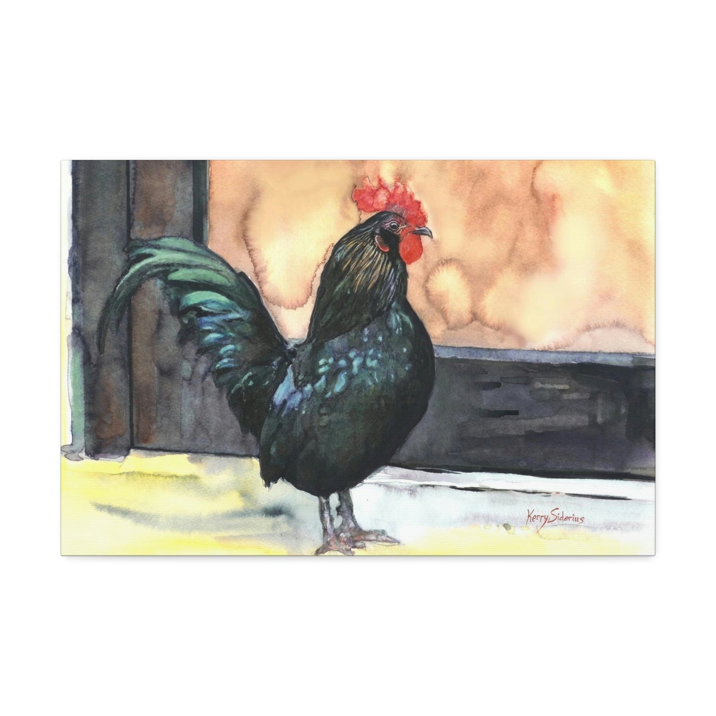 "There's a Rooster at My Door" Stretched Canvas - Kerry Siderius Art 