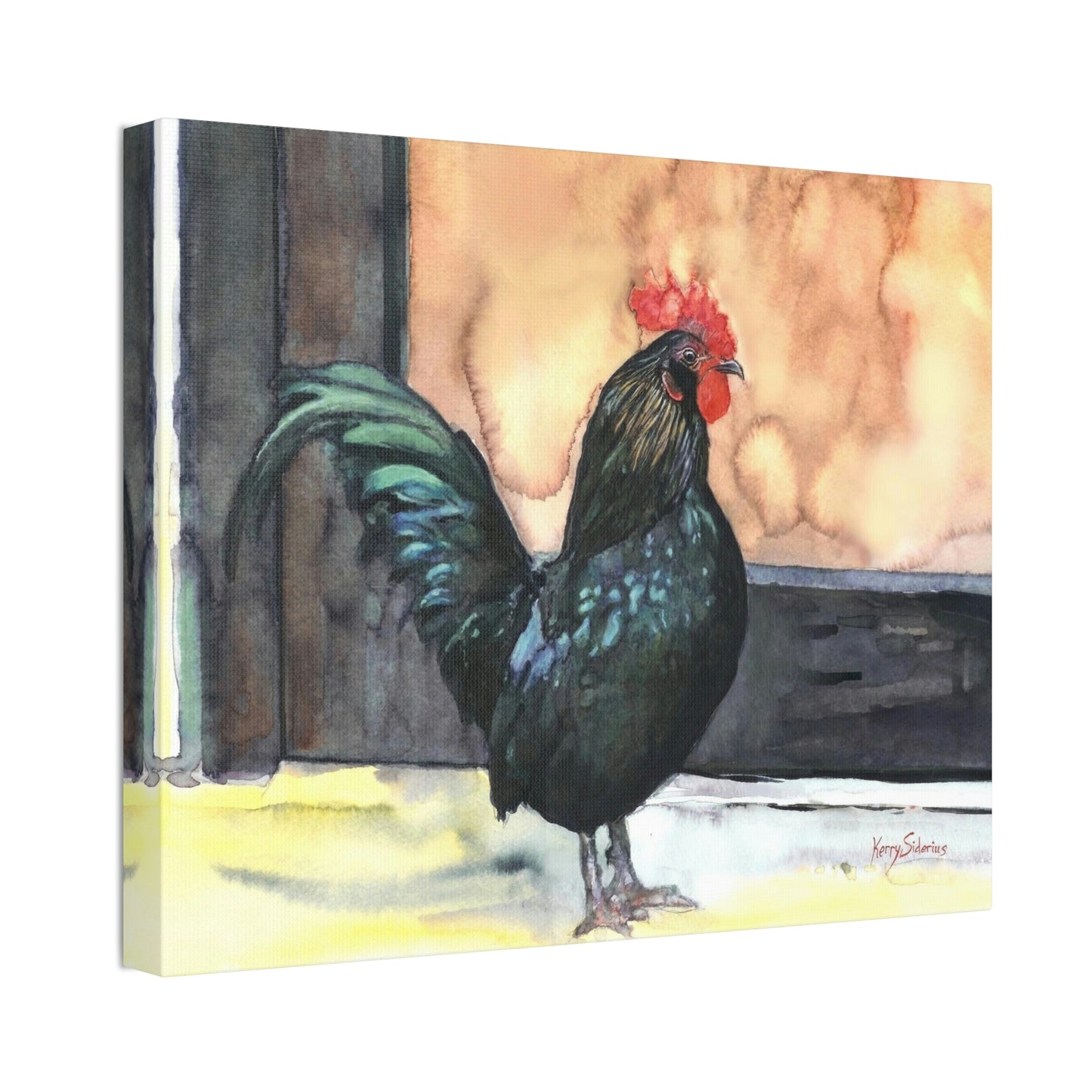 "There's a Rooster at My Door" Stretched Canvas - Kerry Siderius Art 