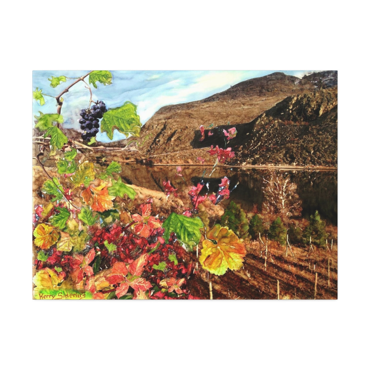 "Last Cluster of Grapes with Columbia Reflection"  Canvas Stretched, 1.5'' - Kerry Siderius Art 