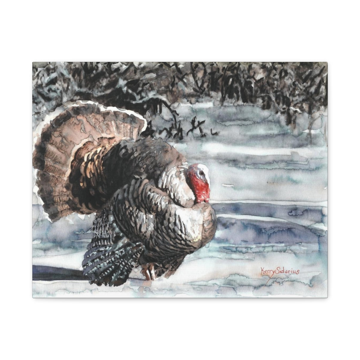 "Wild Turkey in the Snow" Canvas Gallery Wrap - Kerry Siderius Art 