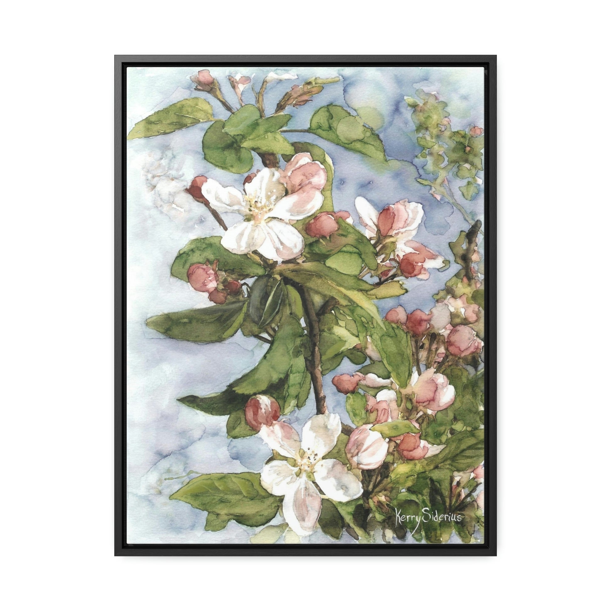 "Wenatchee Apple Blossoms" Gallery Wrapped Wood Framed Canvas (Walnut & Black) - Kerry Siderius Art 