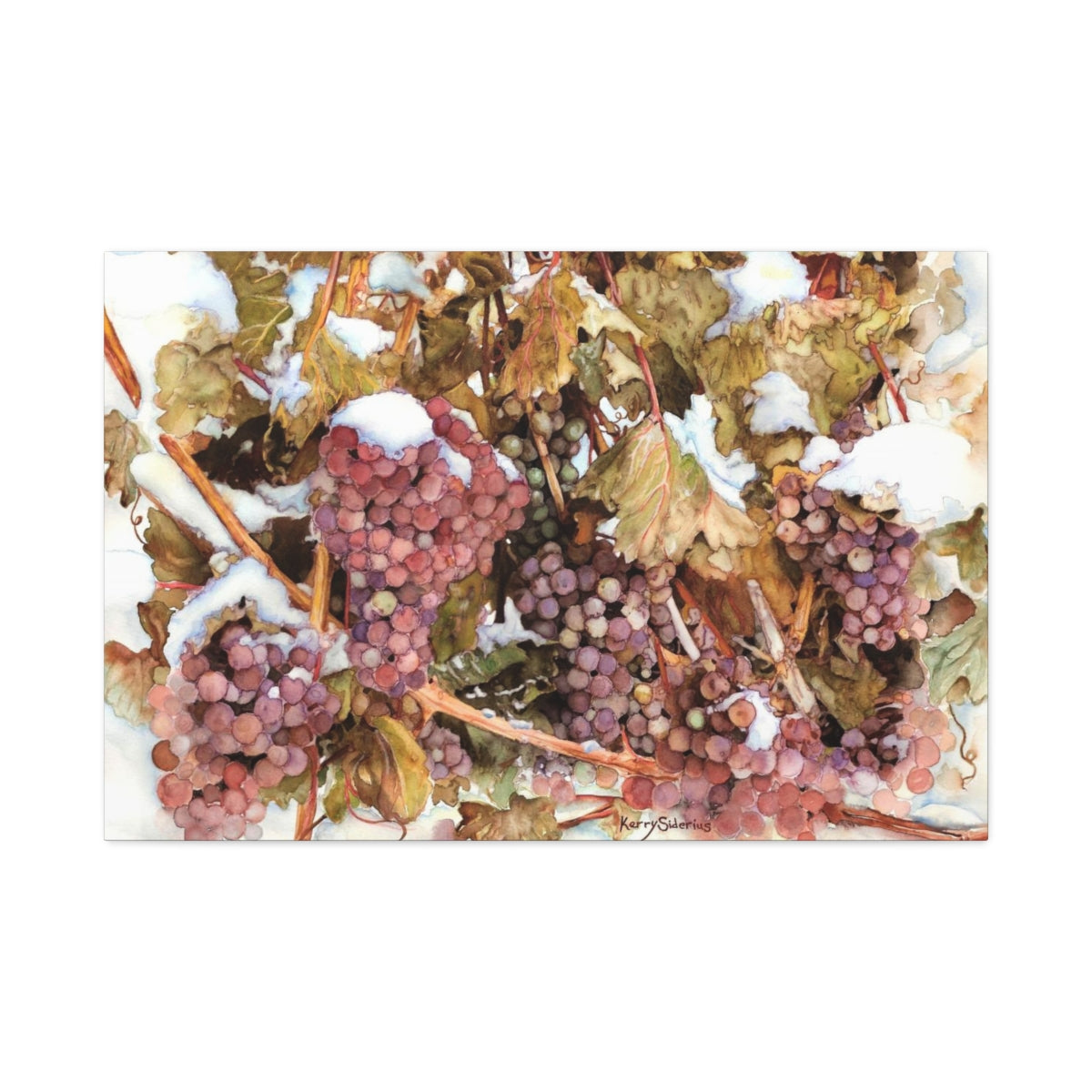 "Snowy Grapes in Chelan" Canvas (6 Sizes Available) - Kerry Siderius Art 