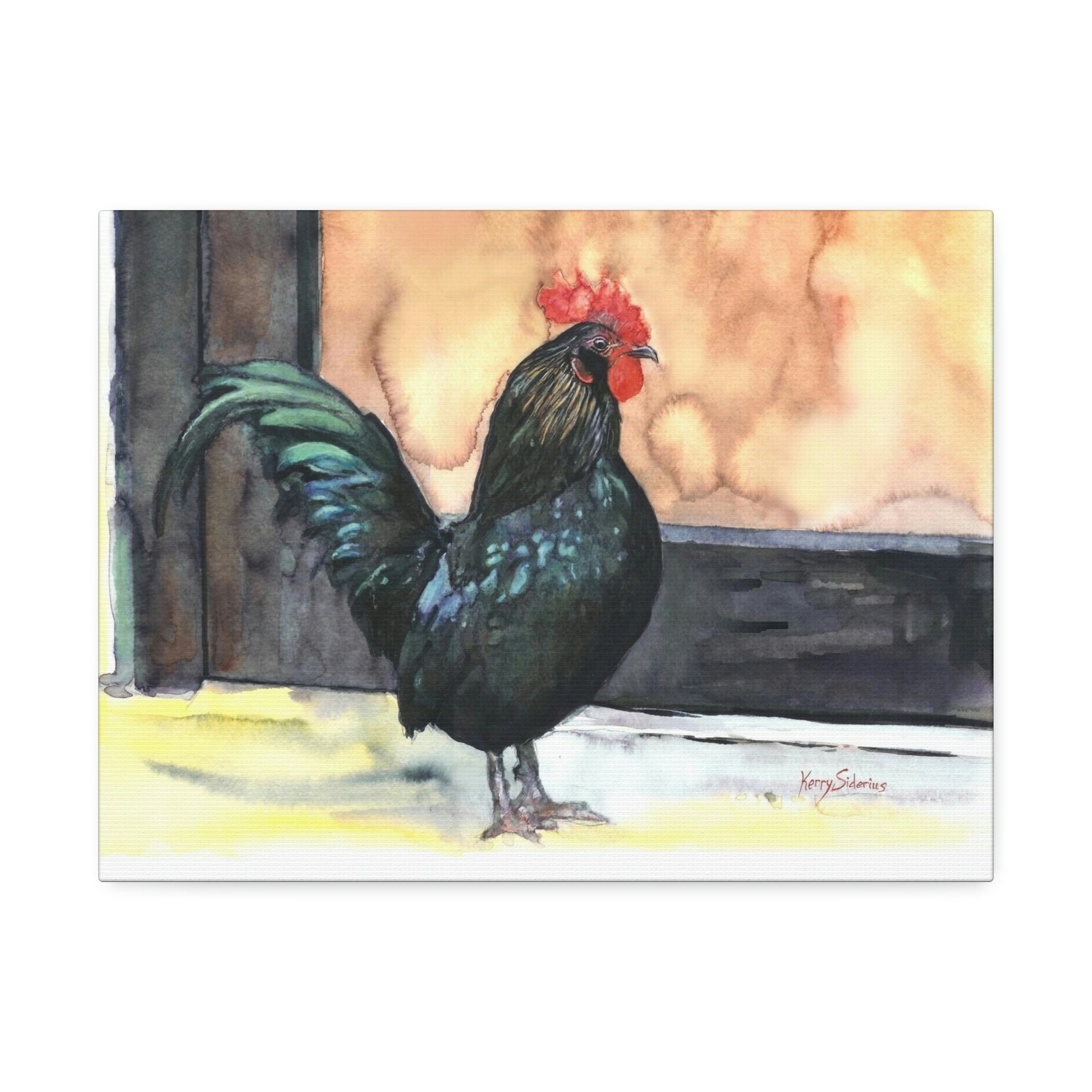 "There's a Rooster at My Door" Stretched Canvas - Kerry Siderius Art 