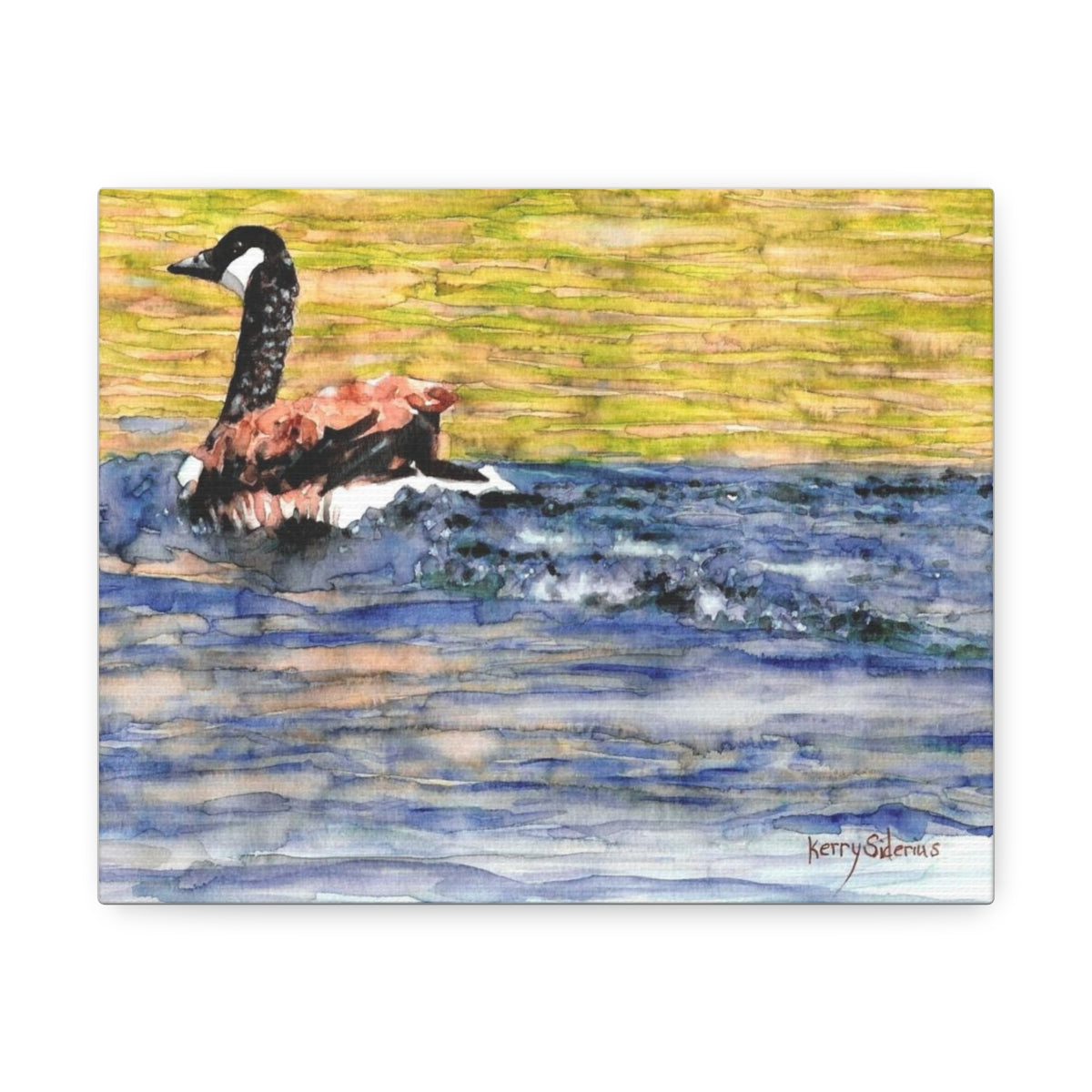 "Canadian Goose" Satin Canvas, Stretched - Kerry Siderius Art 