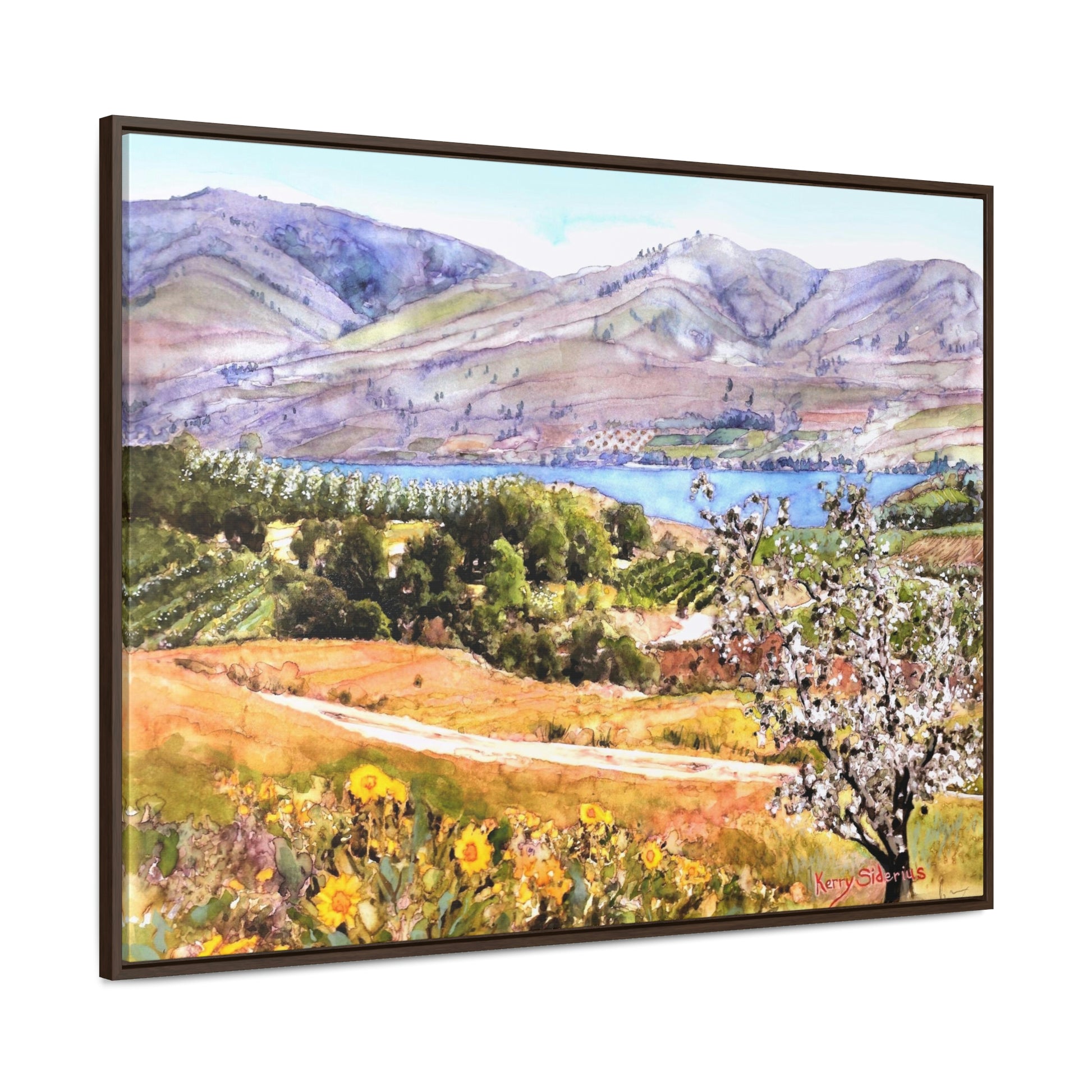 "Springtime Above Lake Chelan from Winesap Road" Wood-Framed Gallery Wrapped Canvas - Kerry Siderius Art 