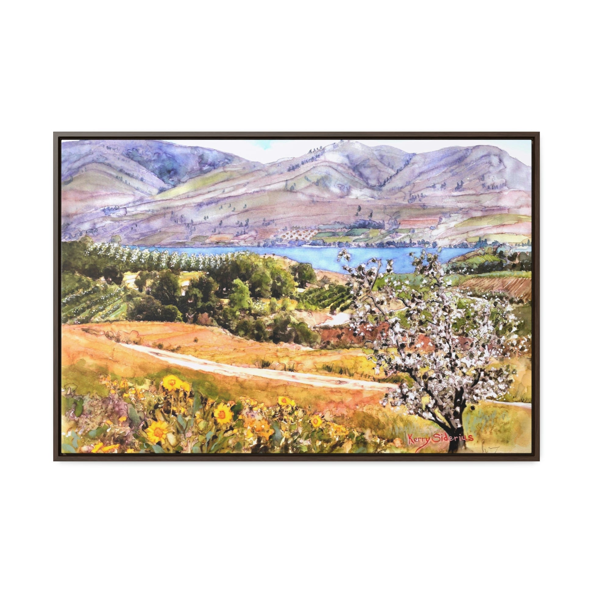 "Springtime Above Lake Chelan from Winesap Road" Wood-Framed Gallery Wrapped Canvas - Kerry Siderius Art 