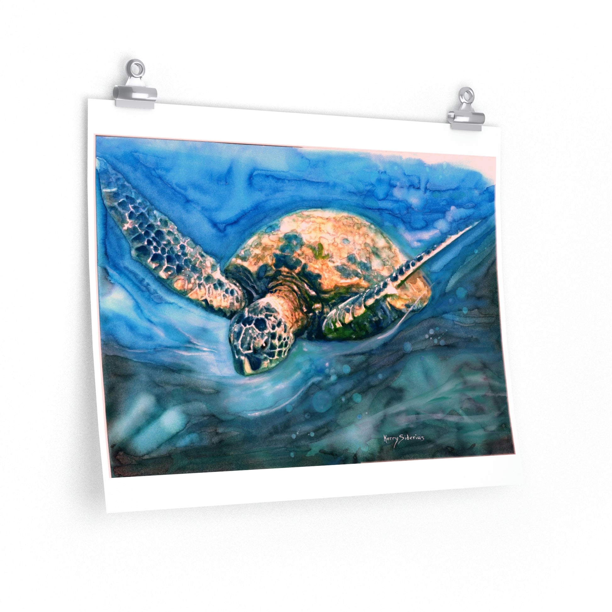 "Sea Turtle" Archival Poster - Kerry Siderius Art 