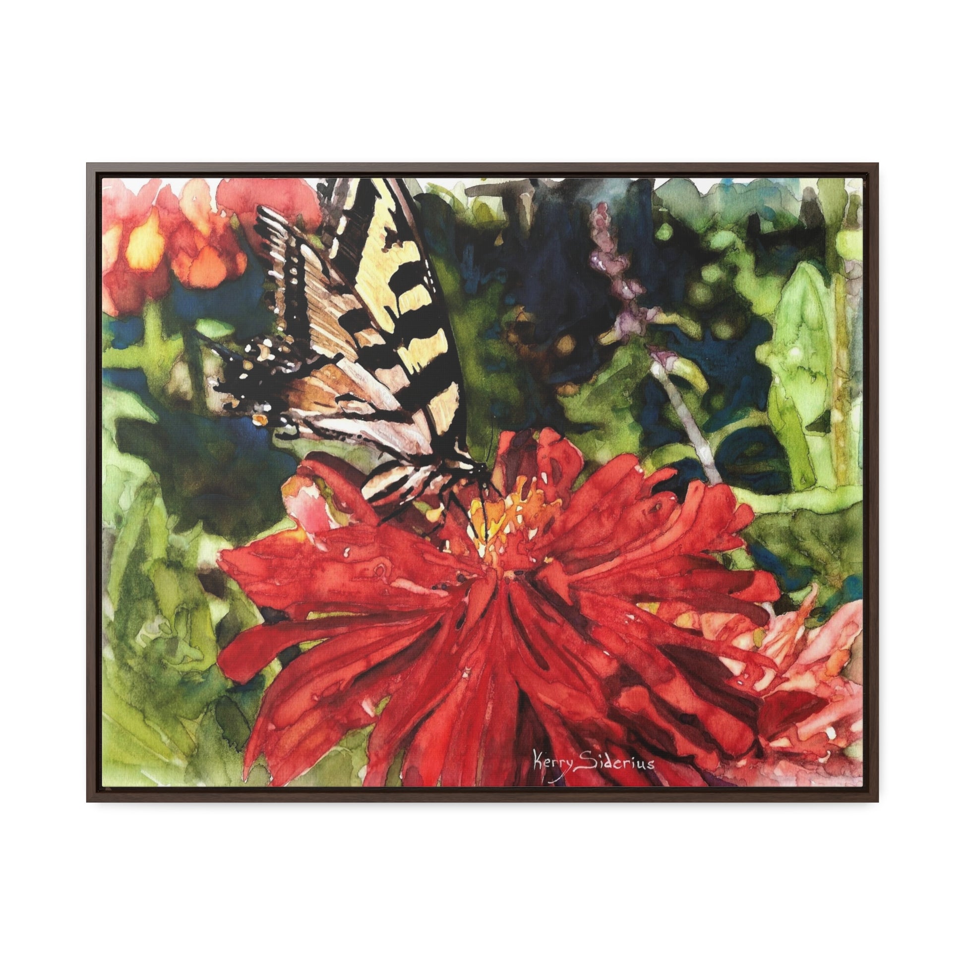 "Butterfly on a Dahlia" Gallery Canvas Wraps, Horizontal Wood Frame - Kerry Siderius Art 