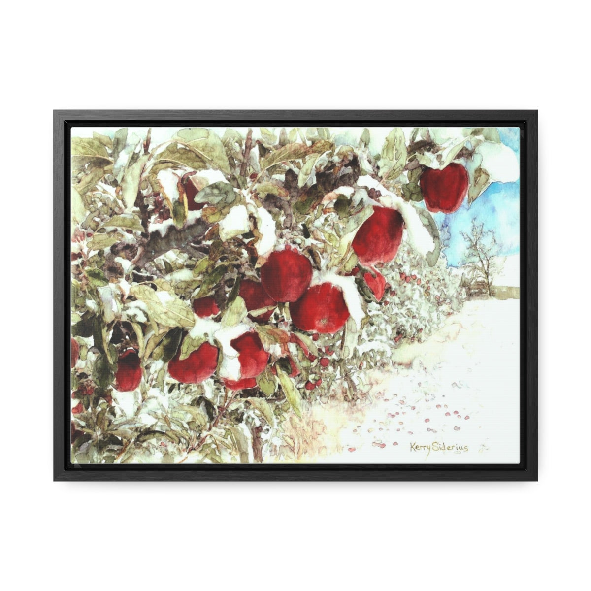 "Apples in the Snow" Poplar Wood-Framed Canvas - Kerry Siderius Art 