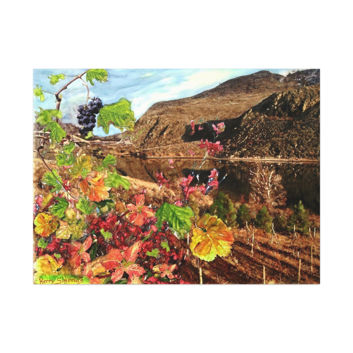 "Last Cluster of Grapes with Columbia Reflection"  Canvas Stretched, 1.5'' - Kerry Siderius Art 