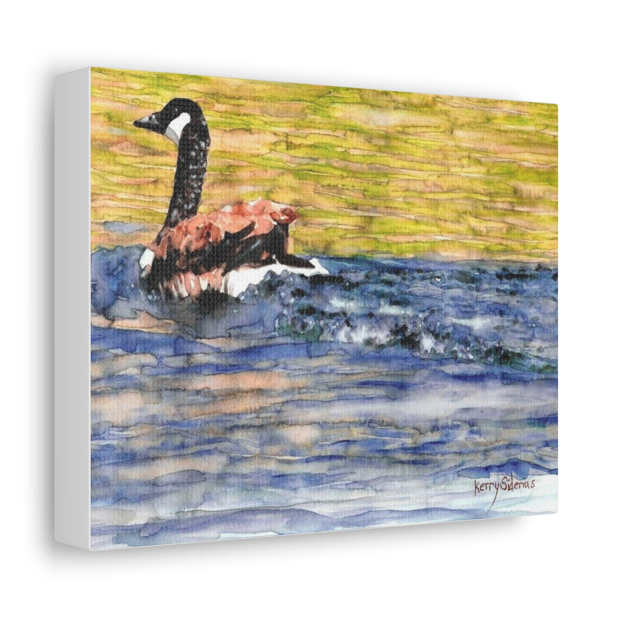 "Canadian Goose" Satin Canvas, Stretched - Kerry Siderius Art 