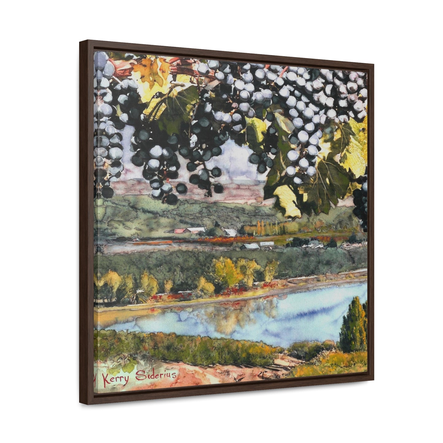 "Grapes Over The Columbia View" Gallery Canvas Wraps, Square Frame - Kerry Siderius Art 